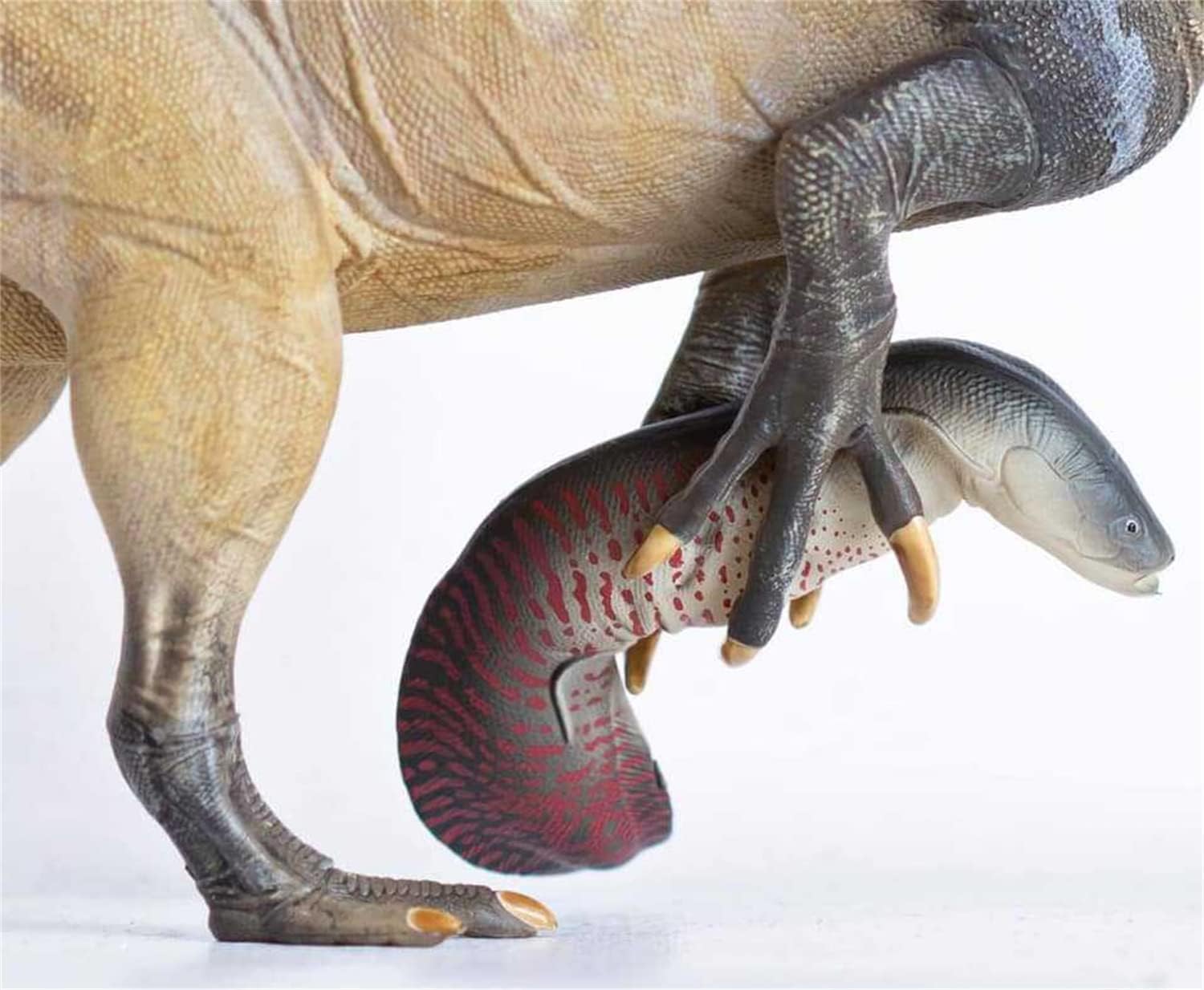 DINO HAZARD 1/20 イリタトル 恐竜 スピノサウルス科 リアル フィギュア PVC プラモデル おもちゃ 模型 恐竜好き 誕生日プレゼント