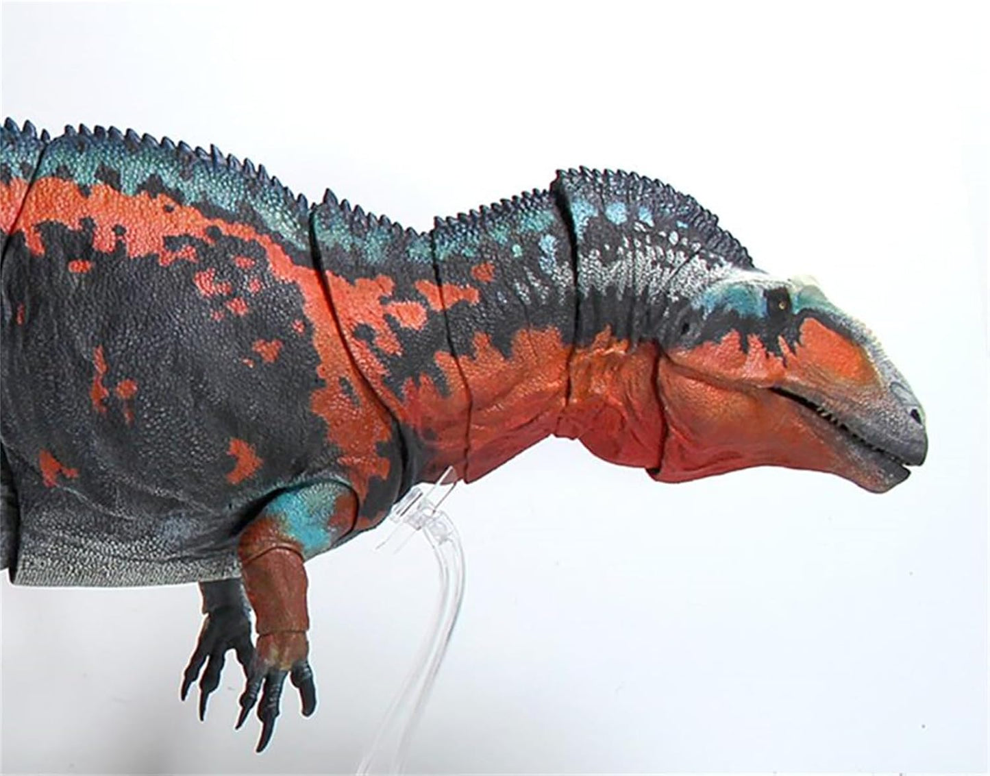 Beasts of the Mesozoic/Cenozoic 中生代の獣 1/18 アクロカントサウルス 白亜紀 恐竜 フィギュア 67.3cm級 全身23箇所可動 カルカロドントサウルス科 PVC製 模型 プラモデル おもちゃ 自立 展示 模型 玩具 関節おもちゃ [並行輸入品]