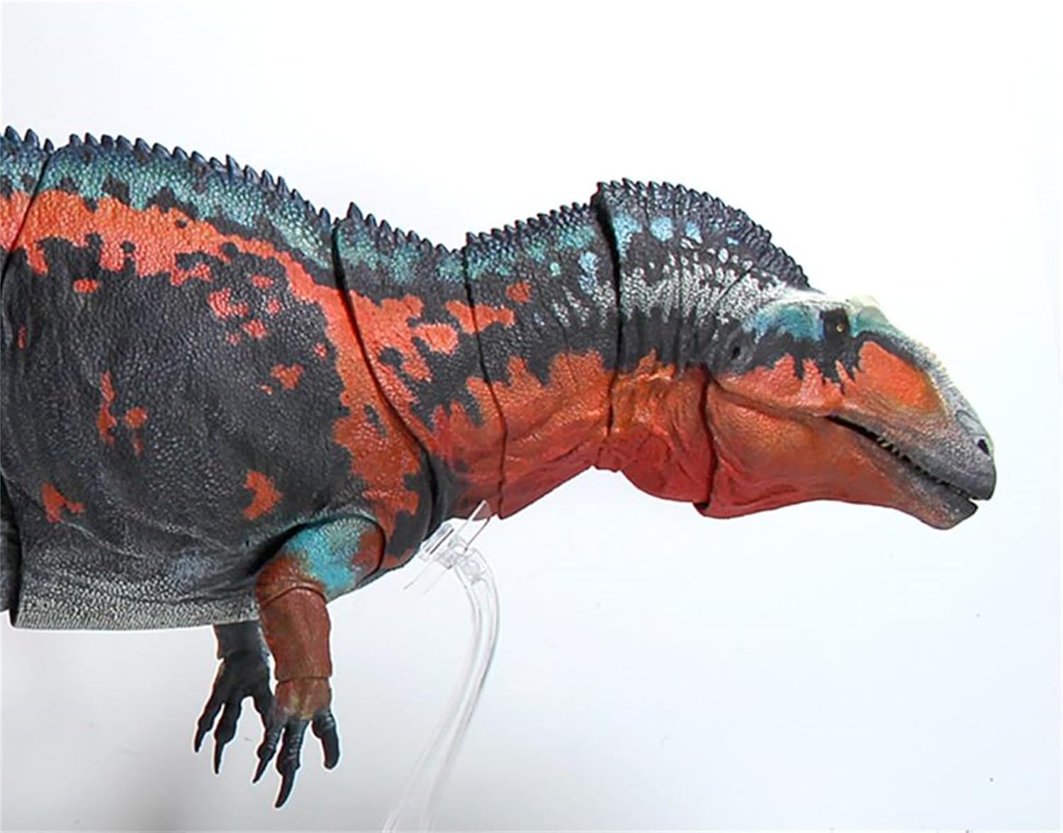 Beasts of the Mesozoic/Cenozoic 中生代の獣 1/18 アクロカントサウルス 白亜紀 恐竜 フィギュア 67.3cm級 全身23箇所可動 カルカロドントサウルス科 PVC製 模型 プラモデル おもちゃ 自立 展示 模型 玩具 関節おもちゃ [並行輸入品]
