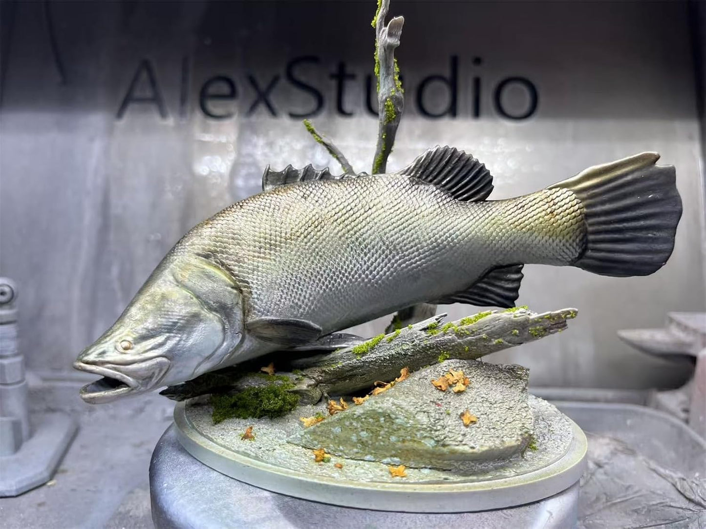 BACALYSO | ALEX STUDIO Barramundi Figure, 5.9 inches (15 cm), Grade, Alex, Fish, Large Carnivore, Animal Base, Resin, Painted, Cute, Realistic Animal, Plastic Model, Toy, Figurine