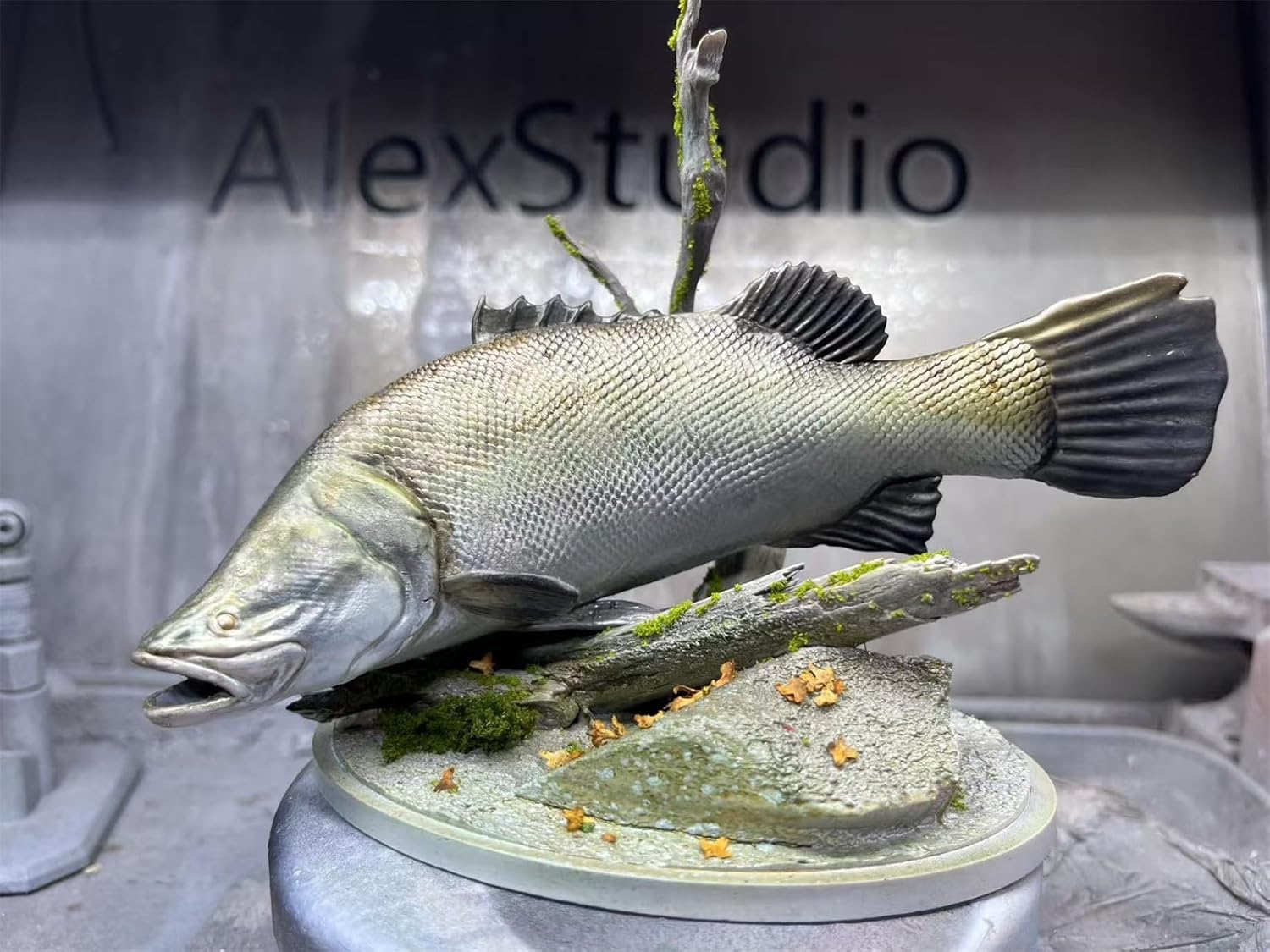BACALYSO | ALEX STUDIO Barramundi Figure, 5.9 inches (15 cm), Grade, Alex, Fish, Large Carnivore, Animal Base, Resin, Painted, Cute, Realistic Animal, Plastic Model, Toy, Figurine