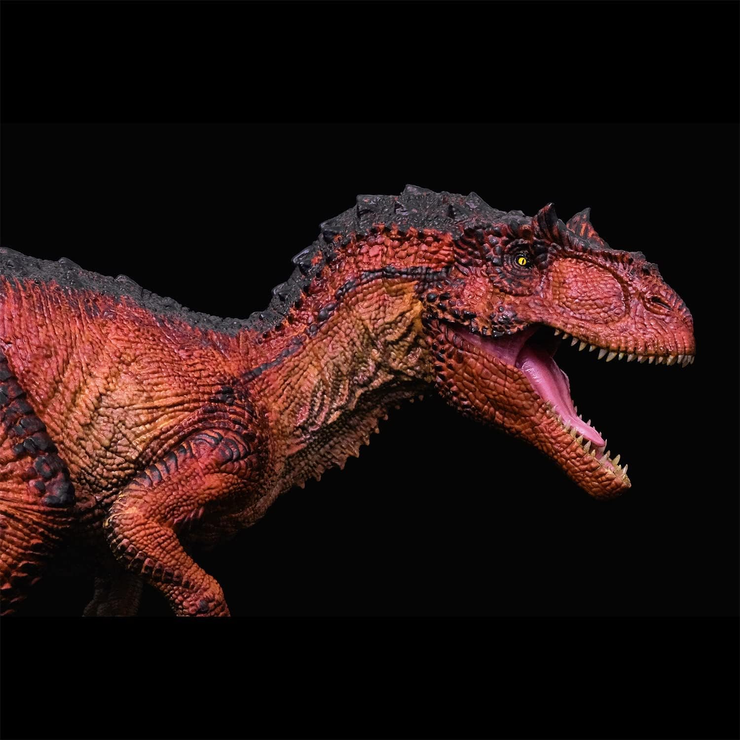 Rebor 1/35サイズ サウロファガナクス 異竜 肉食獣脚類 アロサウルス科 恐竜 フィギュア プラモデル おもちゃ 模型 リアル PVC プレゼント プレミアム 41.5cm級 オリジナル 塗装済 完成品 (火山洞窟)