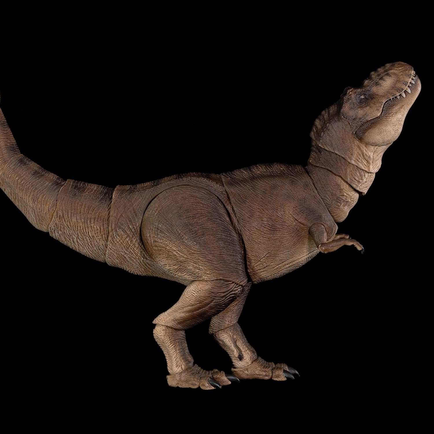 Nanmu 本心楠改 ティラノサウルス フィギュア 3.0 Tレックス T-REX メス オス 関節可動 可動式 42CM級 肉食 恐竜 リアル PVC+POM プラモデル おもちゃ 模型 置物 完成品 情景セット (172275 メス)