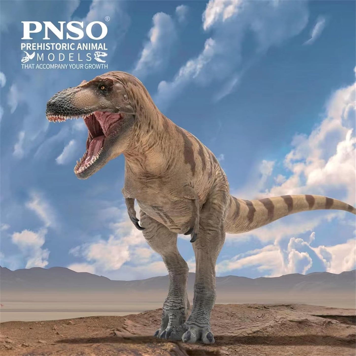 PNSO 成長シリーズ 73 ダスプレトサウルス フィギュア 26cm級 恐竜 PVC おもちゃ 模型