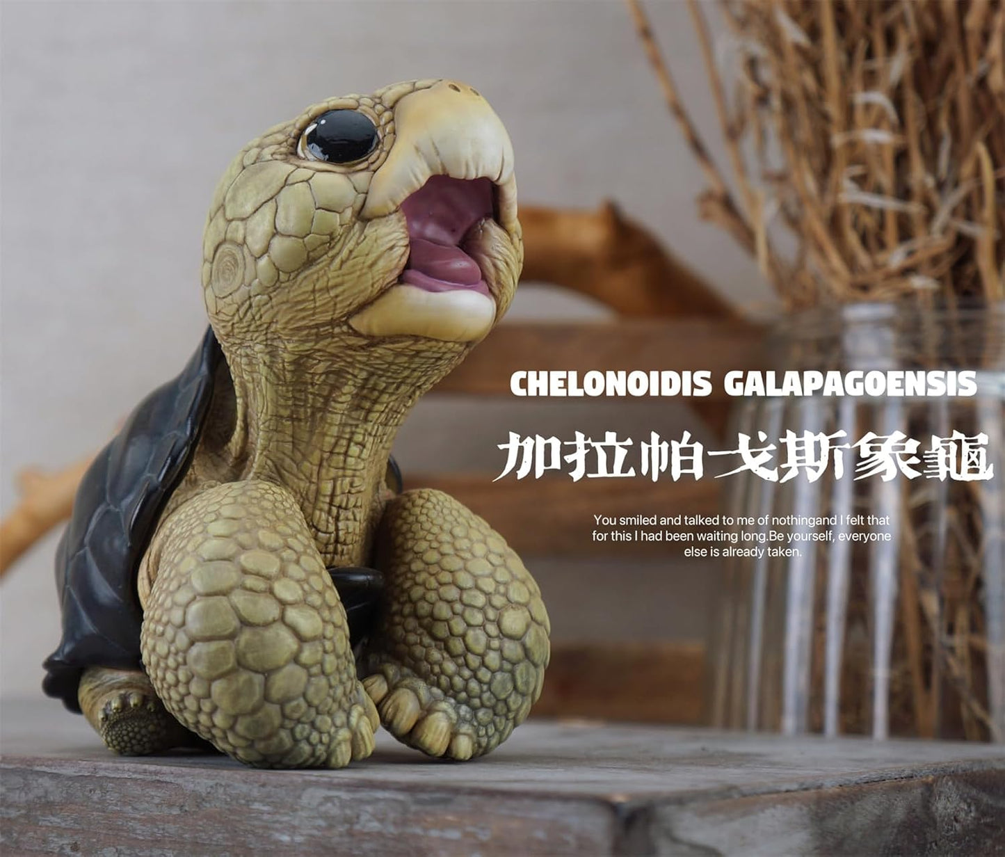 博物志 アカアシガメ ガラパゴスゾウガメ リクガメ 7-11CM級 樹脂 フィギュア 亀好き 爬虫綱 亀 動物 可愛い リアル プラモデル おもちゃ 模型 置物 (ガラパゴスゾウガメ) [並行輸入品]