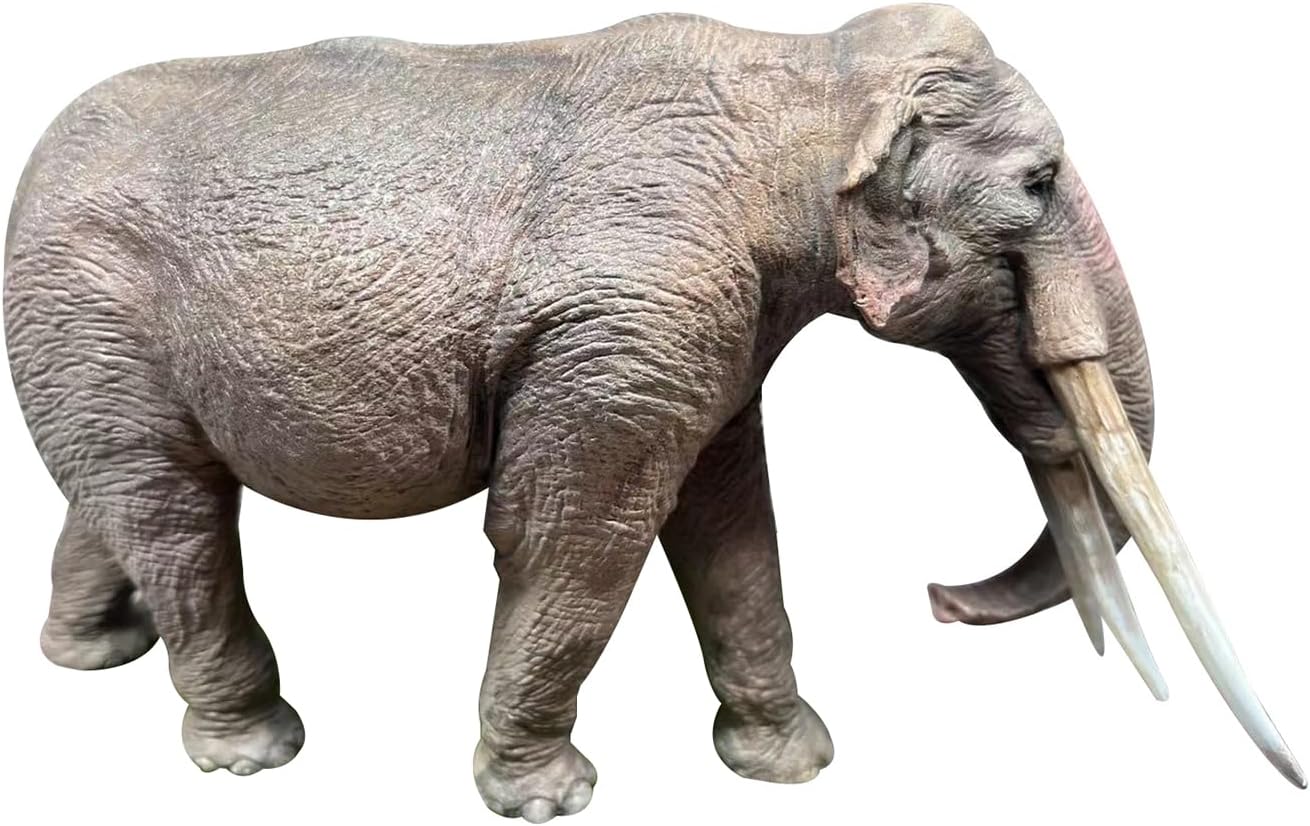 BACALYSO | ALEX STUDIO 1/35 Scale Stego Tetraverodon Figure, Neocene Medieval Mammalian Extinction, Elephant, Ancient Statue, Resin, Painted, Statue, Cute, Realistic Animal, Plastic Model, Toy, Model,