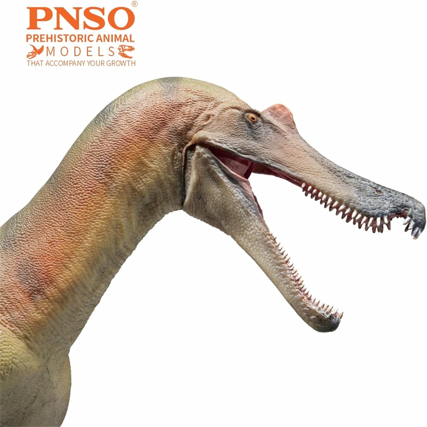 PNSO 成長シリーズ 84 バリオニクス フィギュア 恐竜 24cm級 PVC おもちゃ 模型