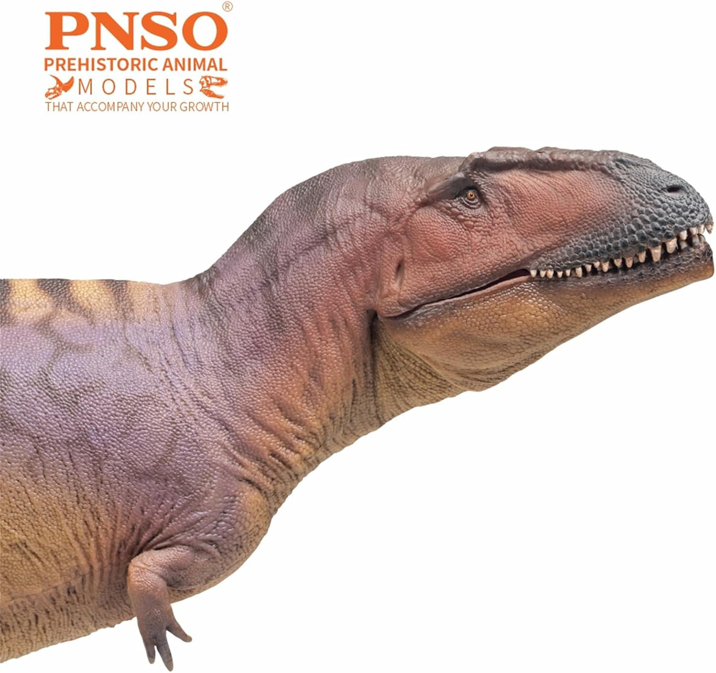 PNSO 成長シリーズ 83 ティラノティタン フィギュア 恐竜 32.6cm級 PVC おもちゃ 模型