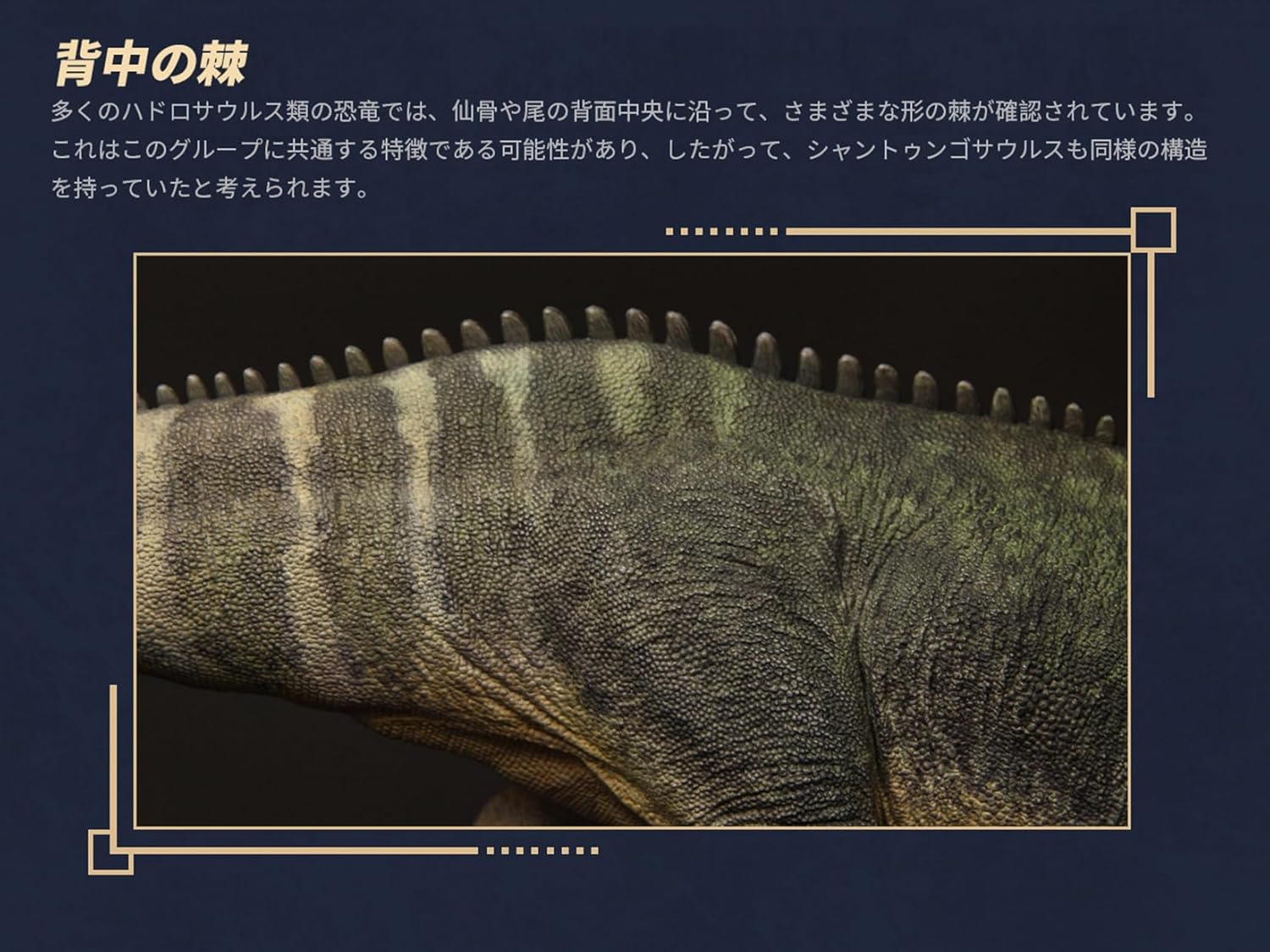 寰宇大千 シャントゥンゴサウルス フィギュア ハドロサウルス科 白亜紀 恐竜 38cmリアル PVC プラモデル 大人のおもちゃ 模型 プレゼント プレミアム スタチュー 塗装済 完成品 [並行輸入品]