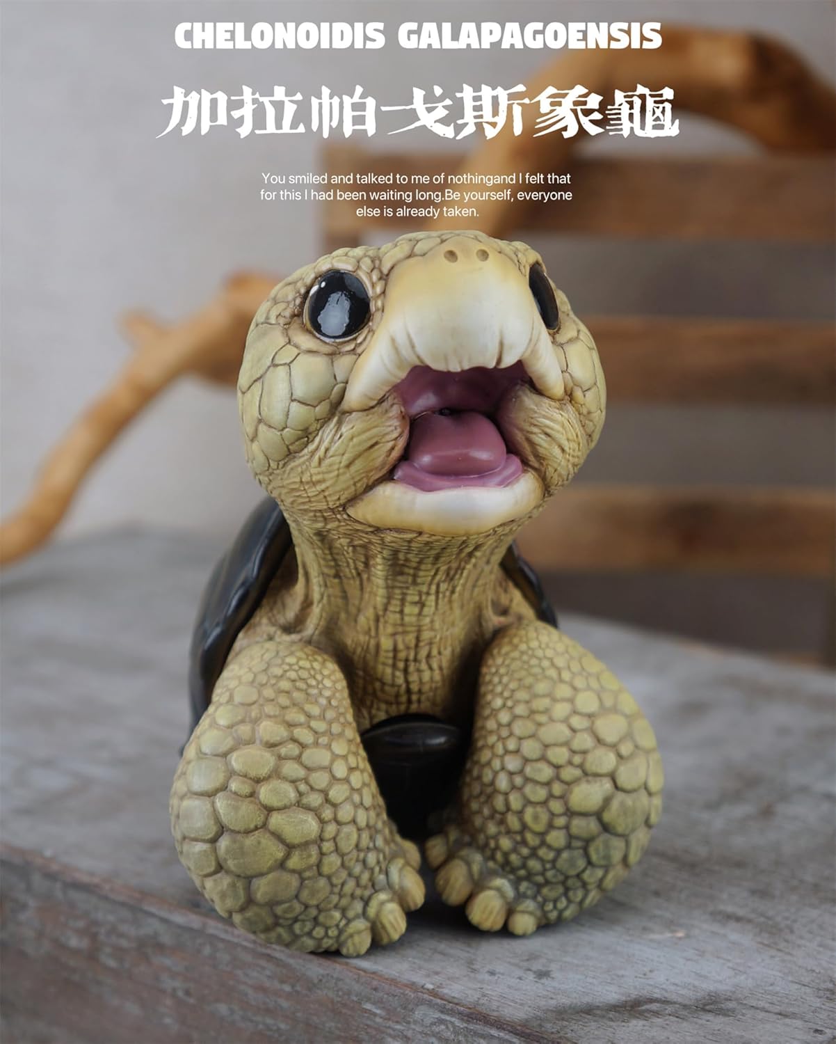 博物志 アカアシガメ ガラパゴスゾウガメ リクガメ 7-11CM級 樹脂 フィギュア 亀好き 爬虫綱 亀 動物 可愛い リアル プラモデル おもちゃ 模型 置物 (ガラパゴスゾウガメ) [並行輸入品]