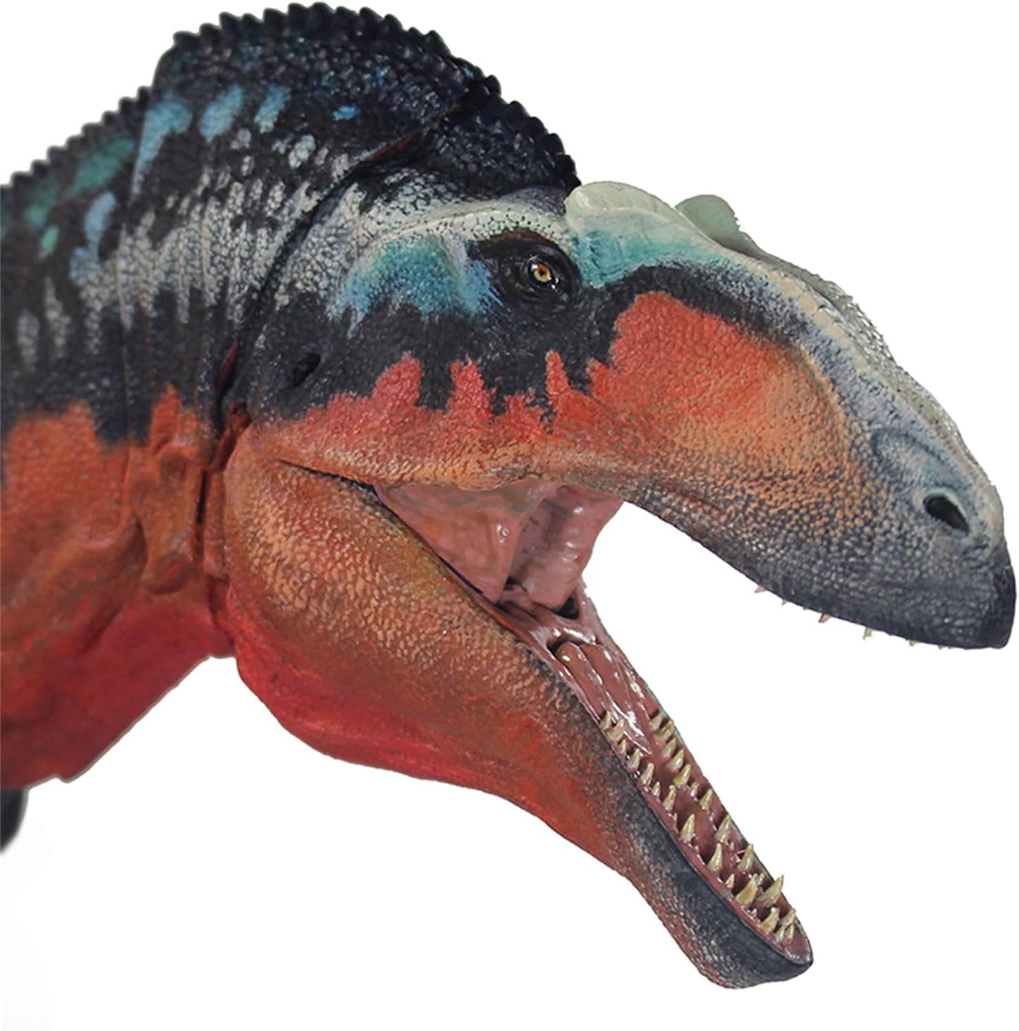 Beasts of the Mesozoic/Cenozoic 中生代の獣 1/18 アクロカントサウルス 白亜紀 恐竜 フィギュア 67.3cm級 全身23箇所可動 カルカロドントサウルス科 PVC製 模型 プラモデル おもちゃ 自立 展示 模型 玩具 関節おもちゃ [並行輸入品]
