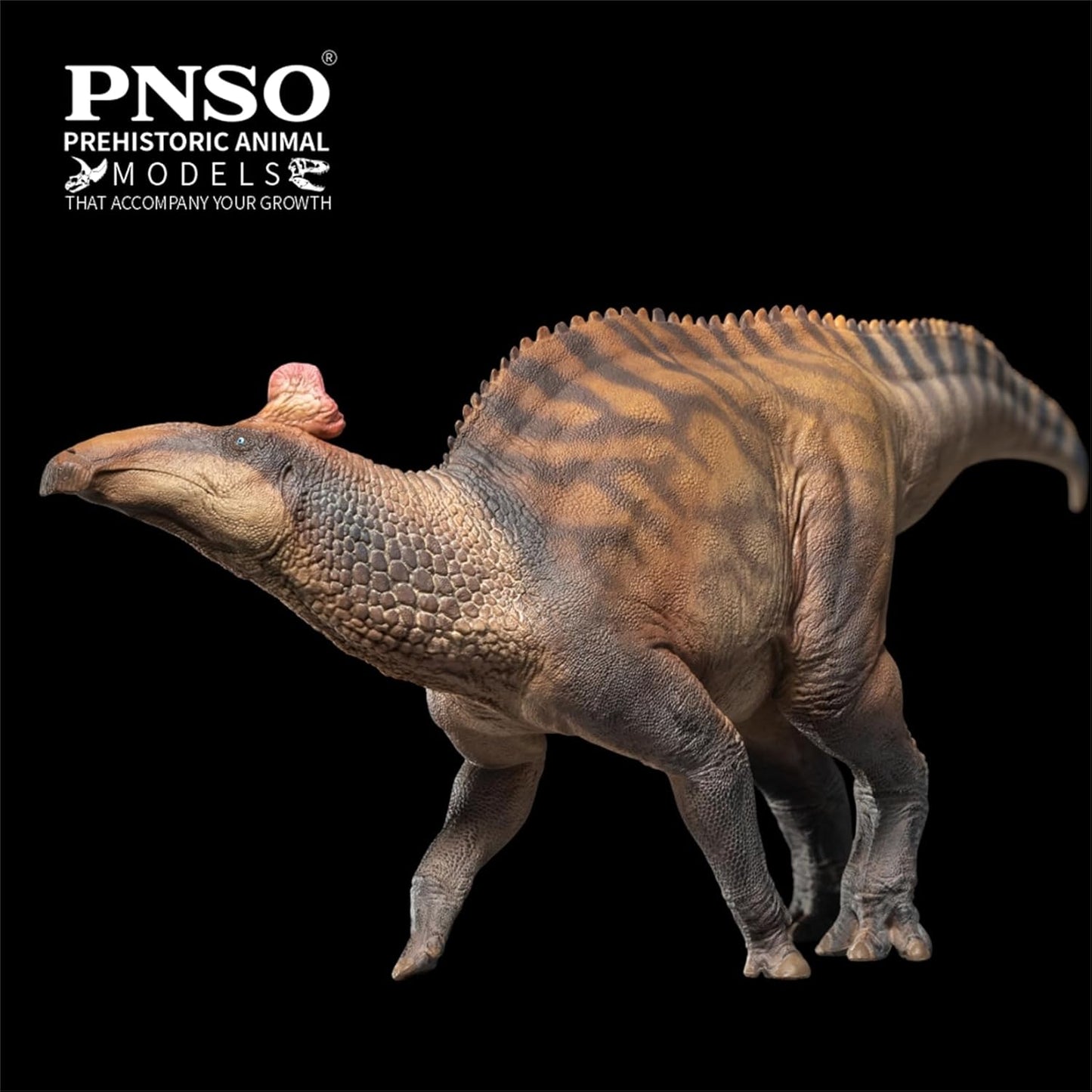 PNSO 成長シリーズ 80 エドモントサウルス フィギュア 33cm級 恐竜 PVC おもちゃ 模型