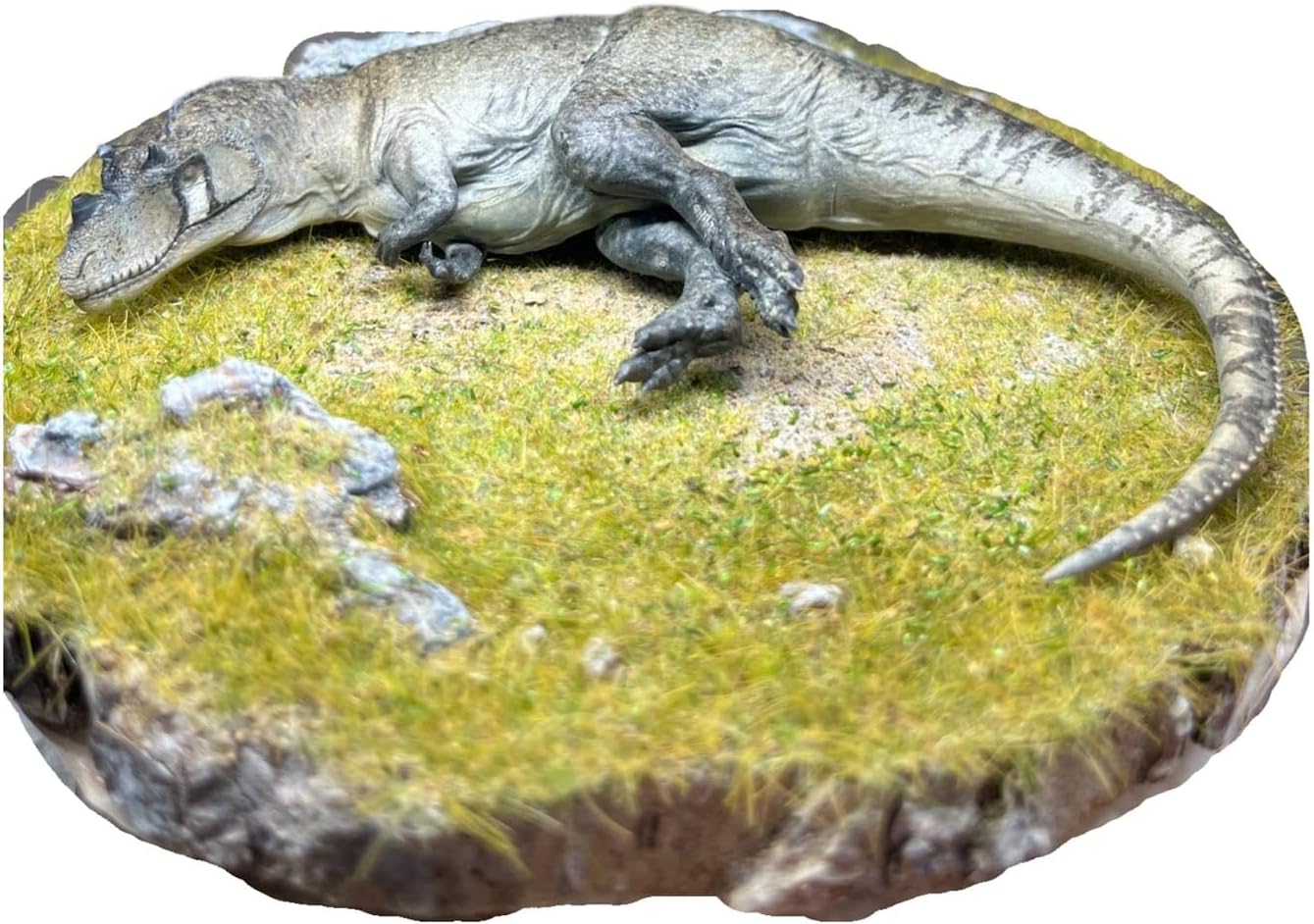 Alex STUDIO ケラトサウルス フィギュア 中生代ジュラ紀 獣脚類 恐竜 ケラトサウルス科 リアル 樹脂 プラモデル 大人のおもちゃ 模型 プレゼント 置物 台座付き (1/20～1/18) [並行輸入品]