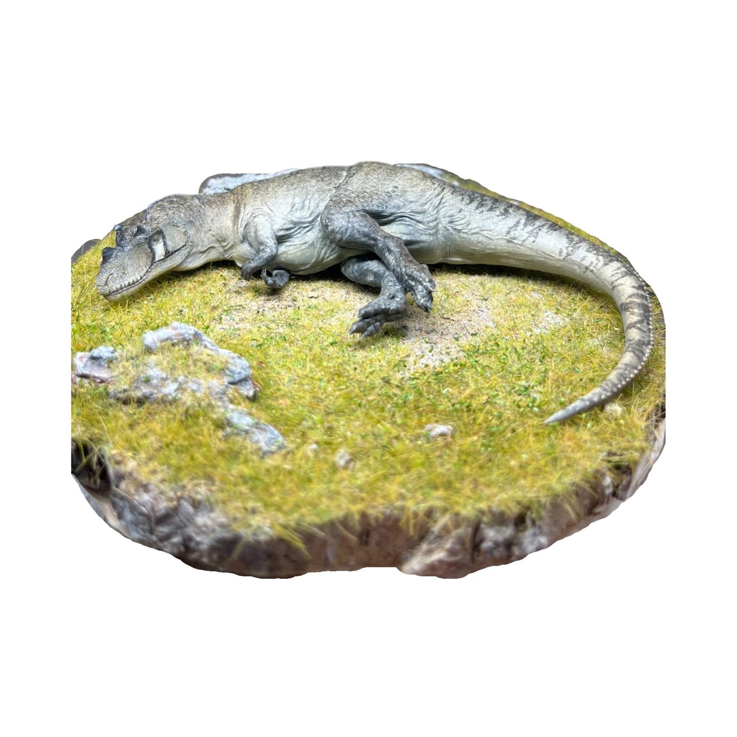 Alex STUDIO ケラトサウルス フィギュア 中生代ジュラ紀 獣脚類 恐竜 ケラトサウルス科 リアル 樹脂 プラモデル 大人のおもちゃ 模型 プレゼント 置物 台座付き (1/20～1/18) [並行輸入品]