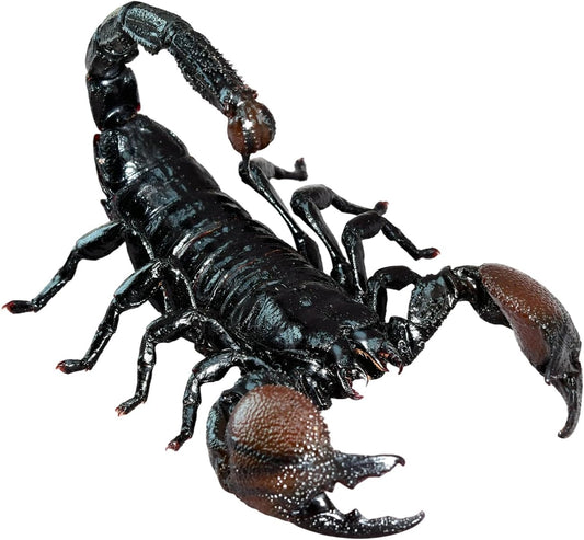 涅槃 ダイオウサソリ フィギュア Pandinus imperator コガネサソリ科 冷蔵庫貼り 磁気飾り物 マグネット リアル 成虫 図鑑 昆虫 甲虫 樹脂 大人安心 プラモ おもちゃ 模型 完成品