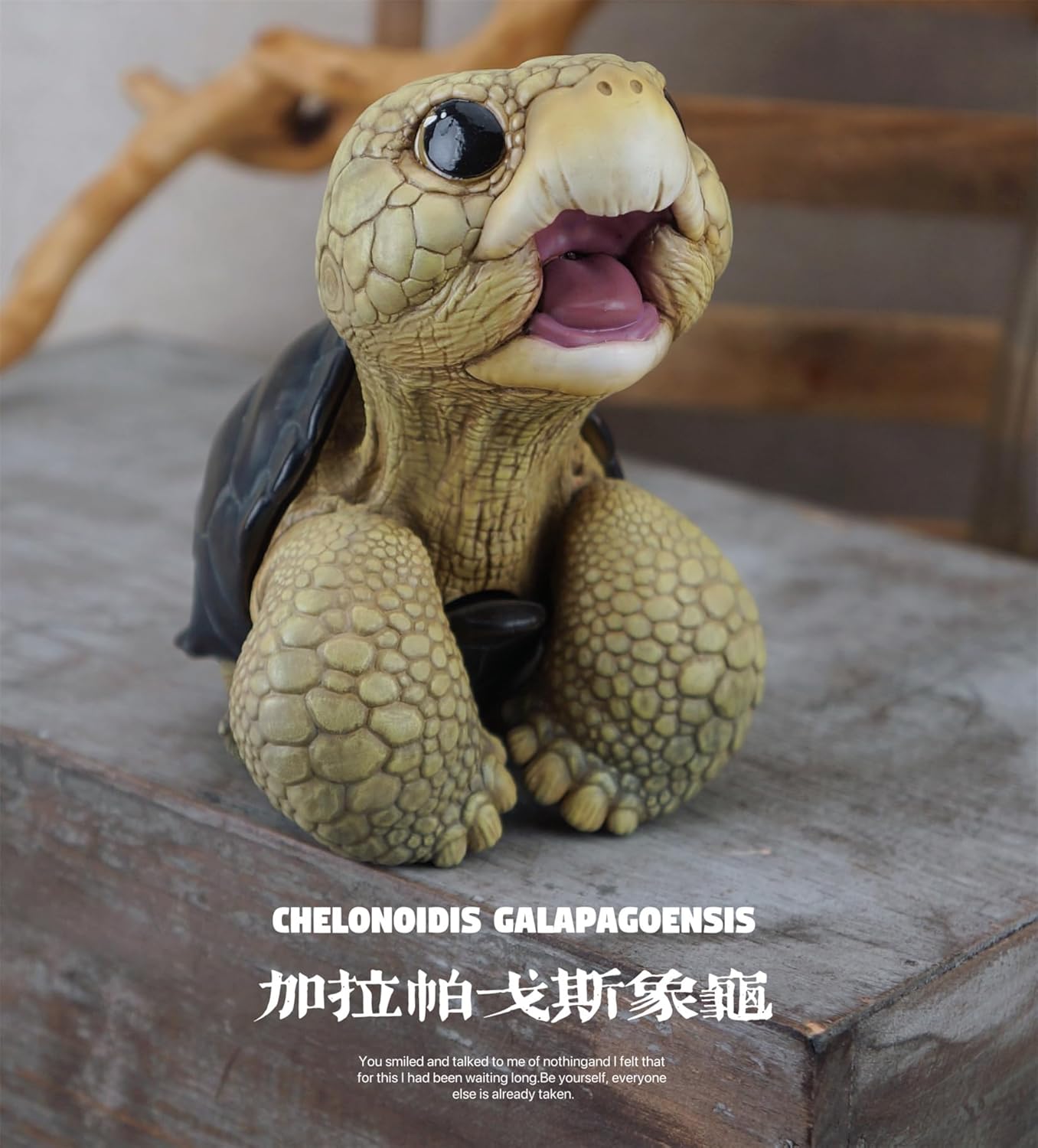 博物志 アカアシガメ ガラパゴスゾウガメ リクガメ 7-11CM級 樹脂 フィギュア 亀好き 爬虫綱 亀 動物 可愛い リアル プラモデル おもちゃ 模型 置物 (ガラパゴスゾウガメ) [並行輸入品]