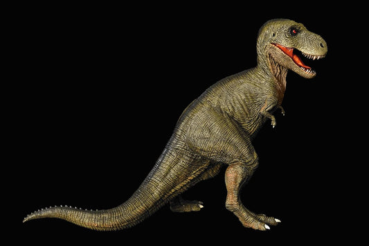Rebor T-Rex T-Rex Dinosaur Figure, Plastic Model, Toy, Model, Realistic PVC, Present, Premium, 11.0 inches (28 cm), Original, Painted Finished Product (Video Tape)