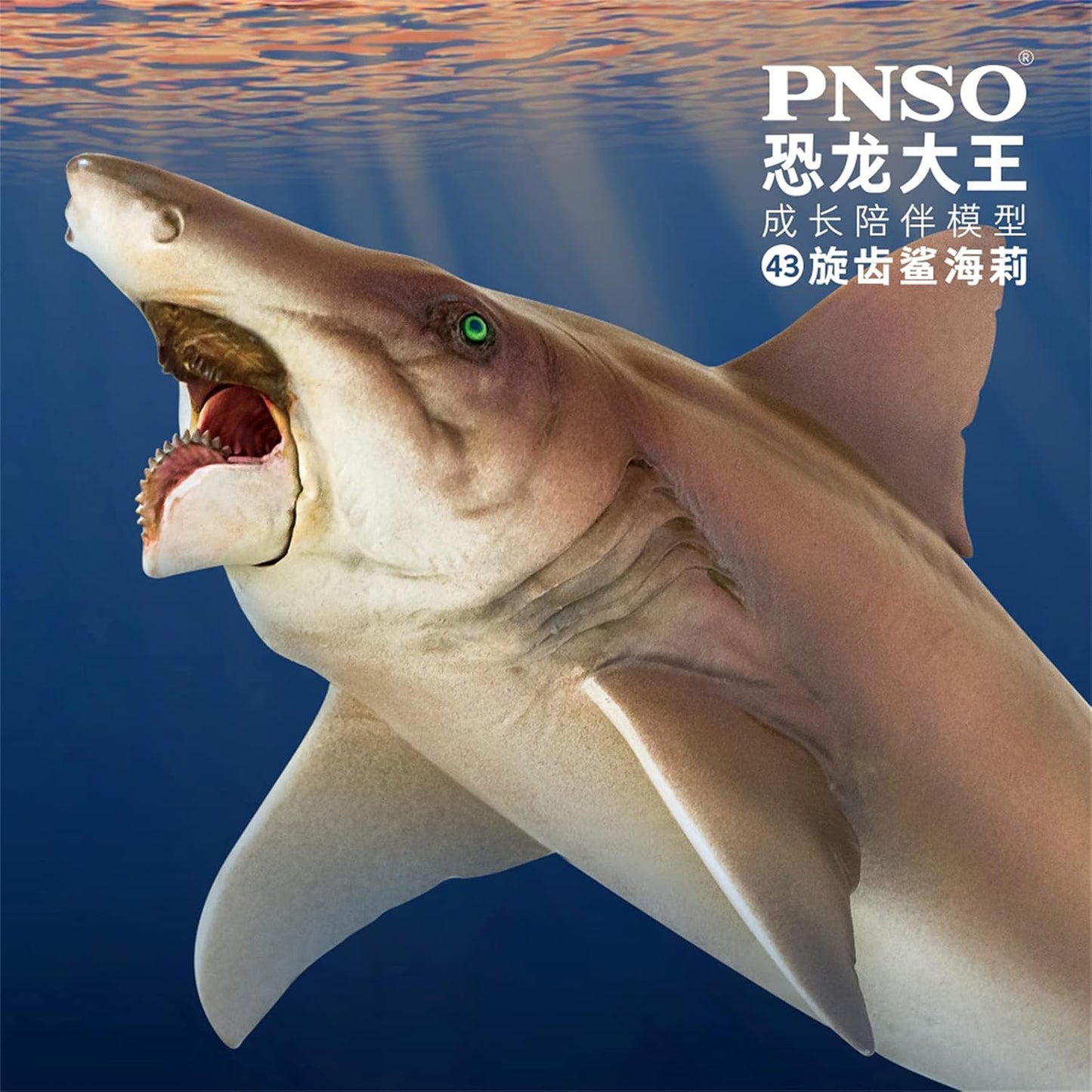 PNSO 成長シリーズ ヘリコプリオン 動物 フィギュア プラモデル おもちゃ 模型 PVC 21cm級
