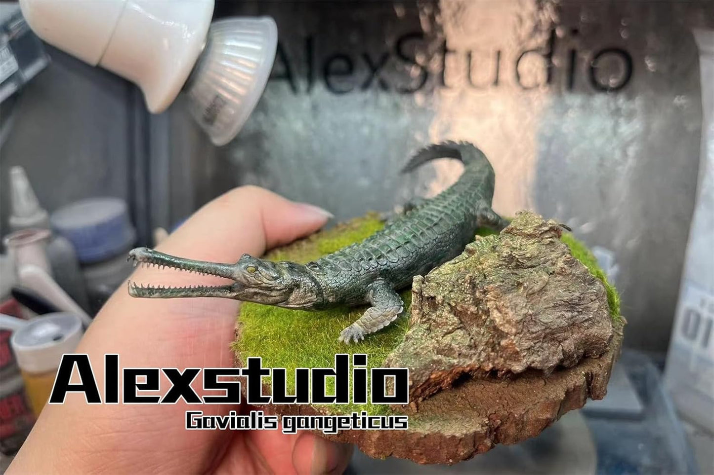 Alex Studio Gavial Figure, 4.3 inches (11 cm), Indogaviaceae, Animals, Reptile Lead, Alligator Eyes, Realistic Resin, Plastic Model, Sex Toy, Model, Present, Figurine, Base Included
