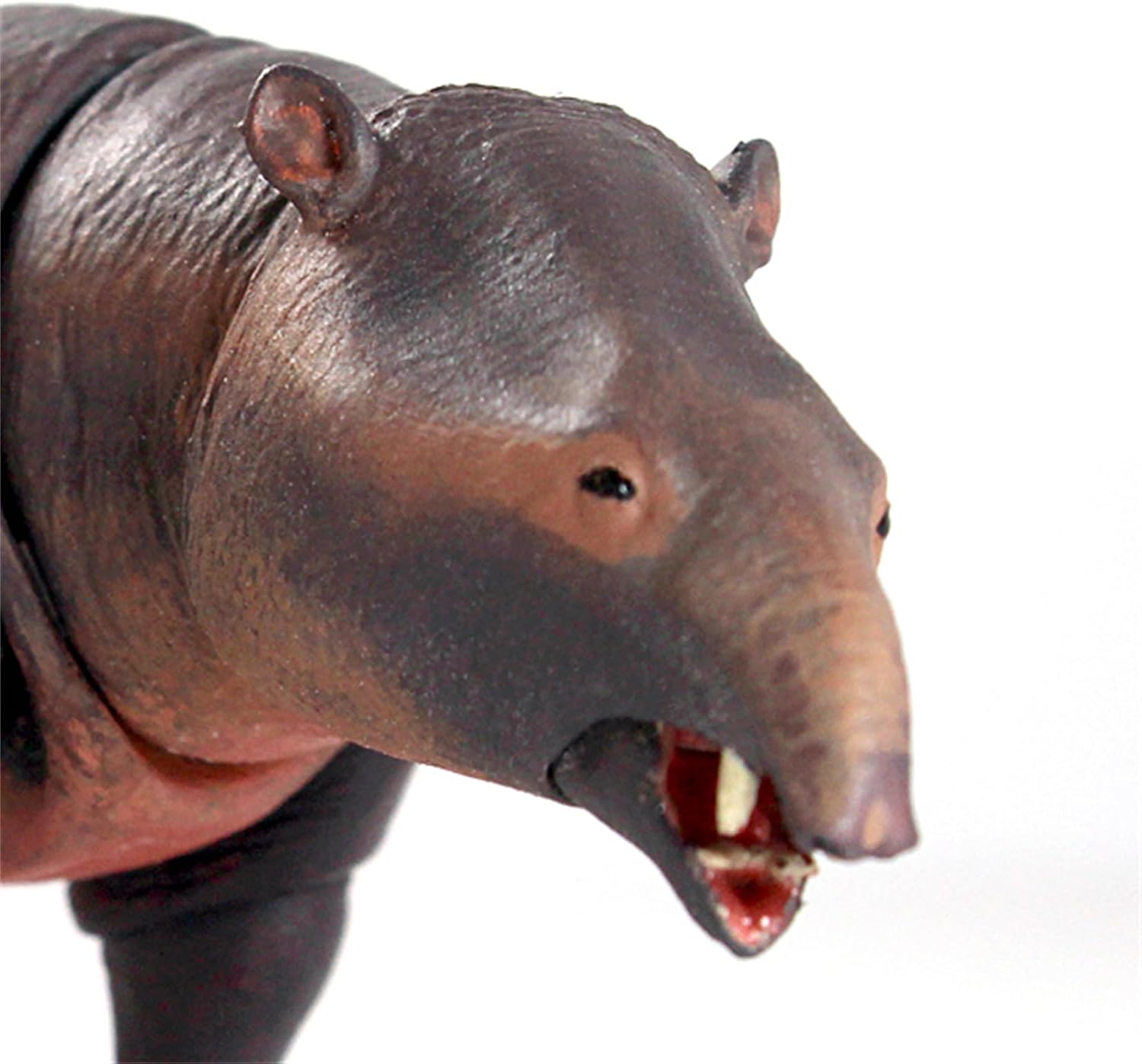 Beasts of the Mesozoic/Cenozoic 中生代の獣 1/18 モエリテリウム 始新世 恐竜 フィギュア 13.5cm 全身18箇所可動 モエリテリウム科 PVC製 模型 プラモデル おもちゃ 自立 展示 模型 玩具 関節おもちゃ