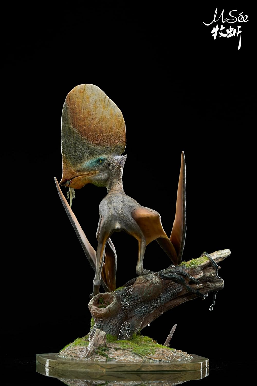 MuSee Studio 1/3 スケール カイウアジャラ 翼竜目 タペジャラ科 白亜紀 恐竜 リアル フィギュア 35.5CM級 樹脂 プラモデル 模型 スタチュー 台座付き (未塗装)