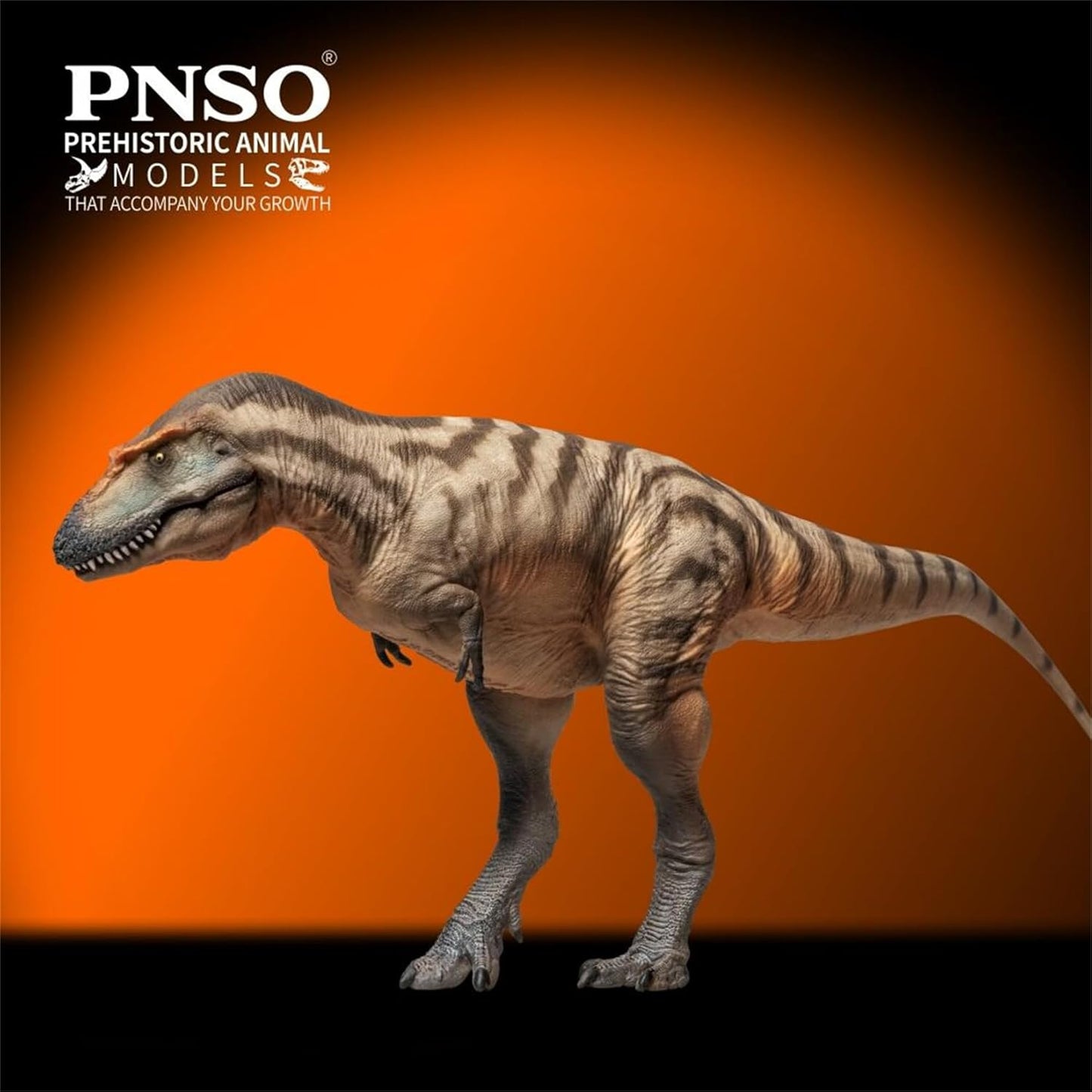 PNSO 成長シリーズ 71 ゴルゴサウルス フィギュア 25.8cm級  恐竜 PVC おもちゃ 模型