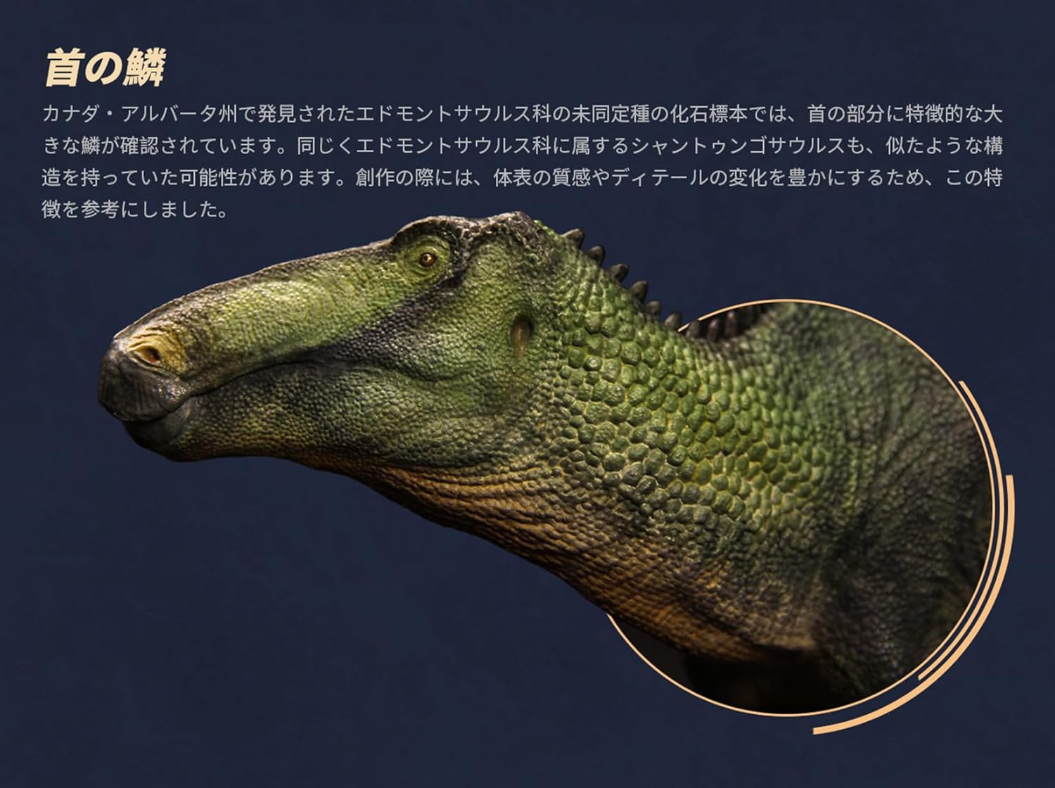 寰宇大千 シャントゥンゴサウルス フィギュア ハドロサウルス科 白亜紀 恐竜 38cmリアル PVC プラモデル 大人のおもちゃ 模型 プレゼント プレミアム スタチュー 塗装済 完成品 [並行輸入品]
