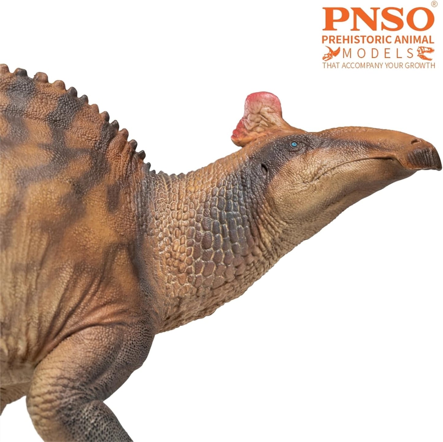 PNSO 成長シリーズ 80 エドモントサウルス フィギュア 33cm級 恐竜 PVC おもちゃ 模型