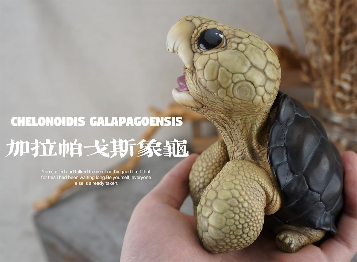 博物志 アカアシガメ ガラパゴスゾウガメ リクガメ 7-11CM級 樹脂 フィギュア 亀好き 爬虫綱 亀 動物 可愛い リアル プラモデル おもちゃ 模型 置物 (ガラパゴスゾウガメ) [並行輸入品]