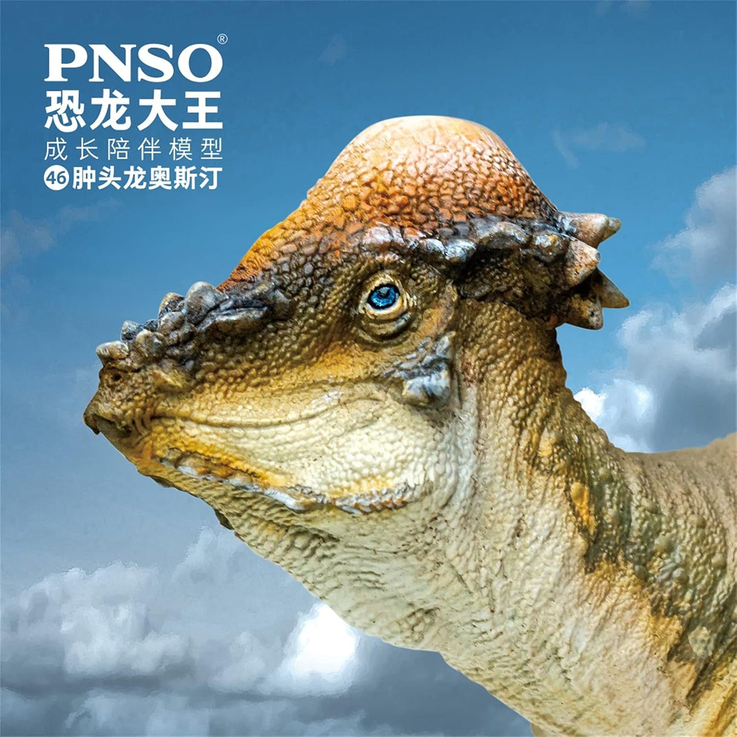 PNSO 成長シリーズ パキケファロサウルス 恐竜 動物 フィギュア プラモデル おもちゃ 模型 PVC 17.8cm級