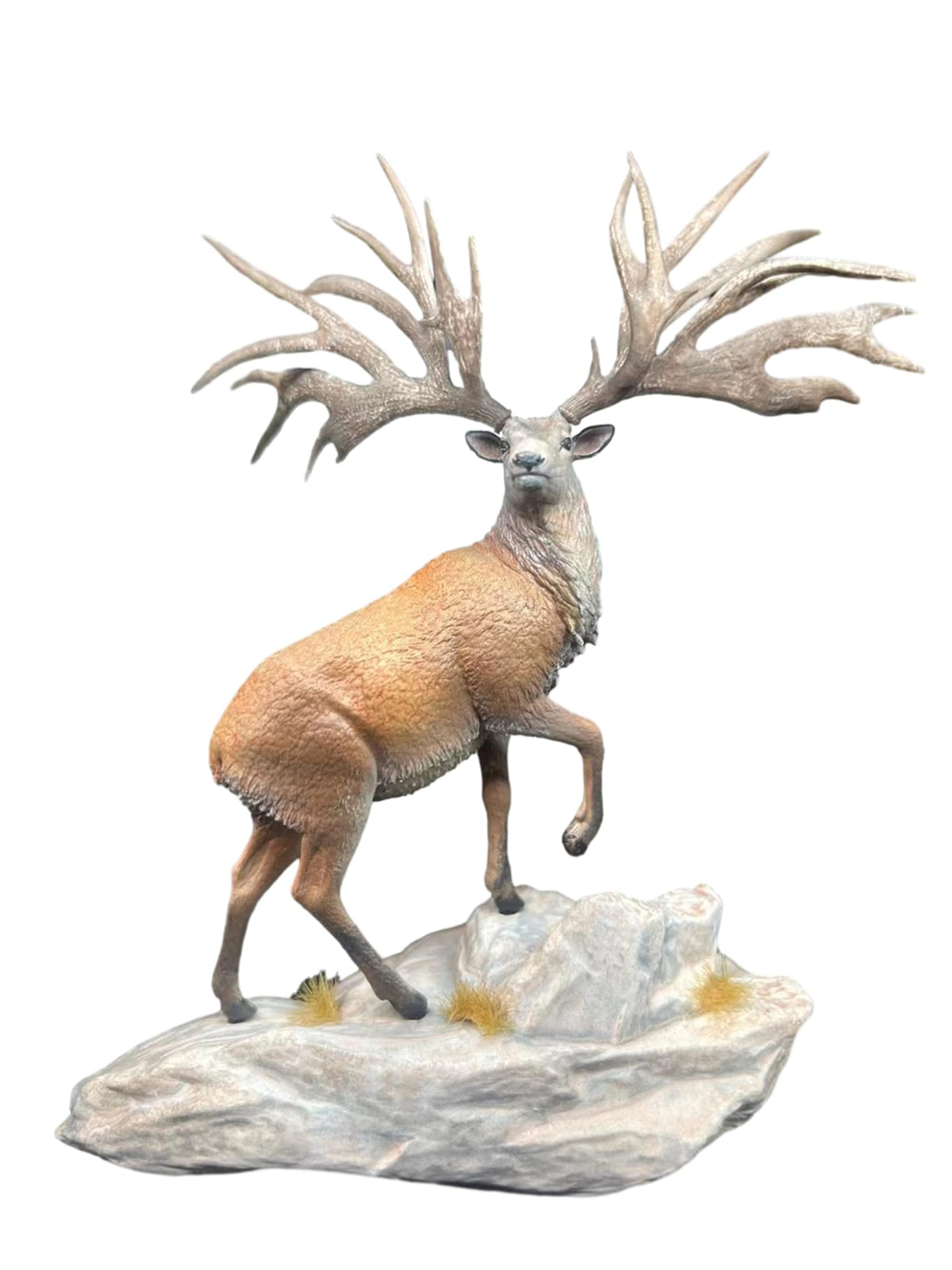 BACALYSO | Euckladokeros Figure, Mammalia, Herbivorous Rodent, Resin, Painted, Neogenic, Cute, Realistic Animal, Plastic Model, Toy, Figurine (1/15)