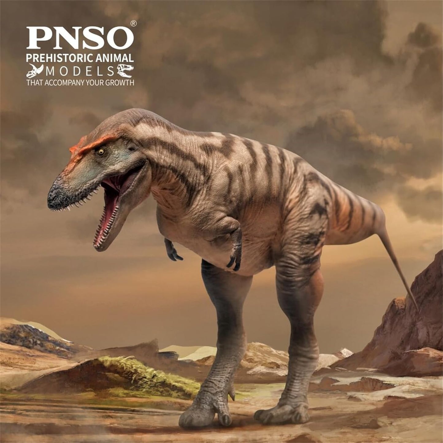 PNSO 成長シリーズ 71 ゴルゴサウルス フィギュア 25.8cm級  恐竜 PVC おもちゃ 模型