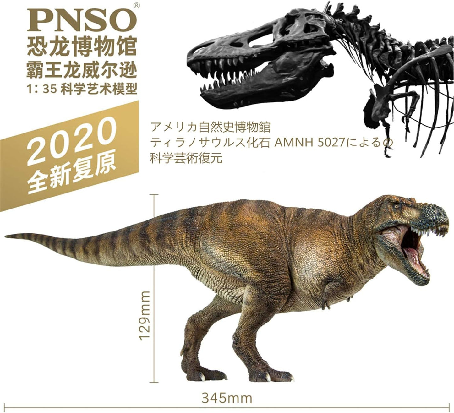 PNSO 恐竜博物館 1/35 サイズ ティラノサウルス T-REX 恐竜 リアル フィギュア PVC プラモデル おもちゃ 模型