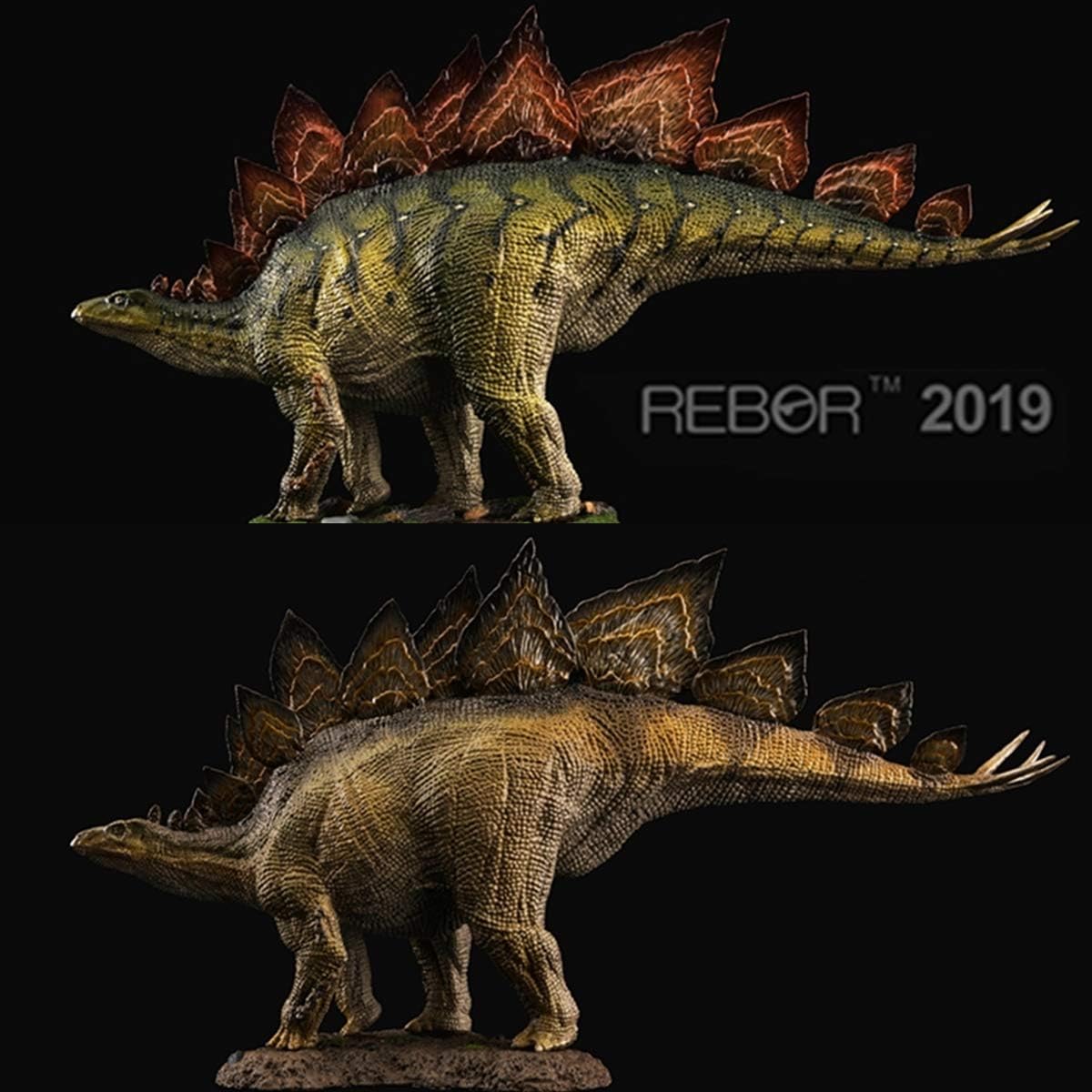 Rebor 2019 1/35 サイズ ステゴサウルス 台座付き ジュラシック 装甲 剣竜類 恐竜 リアル フィギュア PVC プラモデル 模型 大人のおもちゃ プレゼント プレミアム 28cm級 オリジナル インテリア 塗装済 置物 (森林 (Woodland))