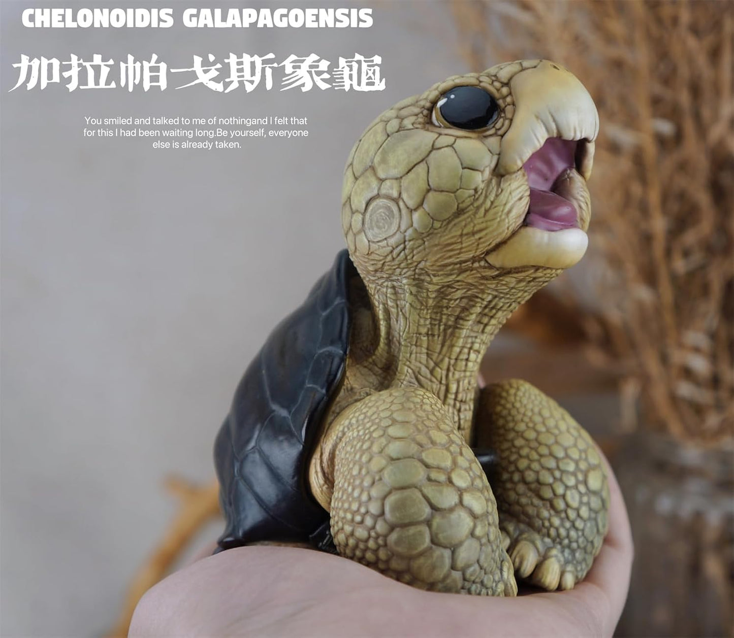 博物志 アカアシガメ ガラパゴスゾウガメ リクガメ 7-11CM級 樹脂 フィギュア 亀好き 爬虫綱 亀 動物 可愛い リアル プラモデル おもちゃ 模型 置物 (ガラパゴスゾウガメ) [並行輸入品]