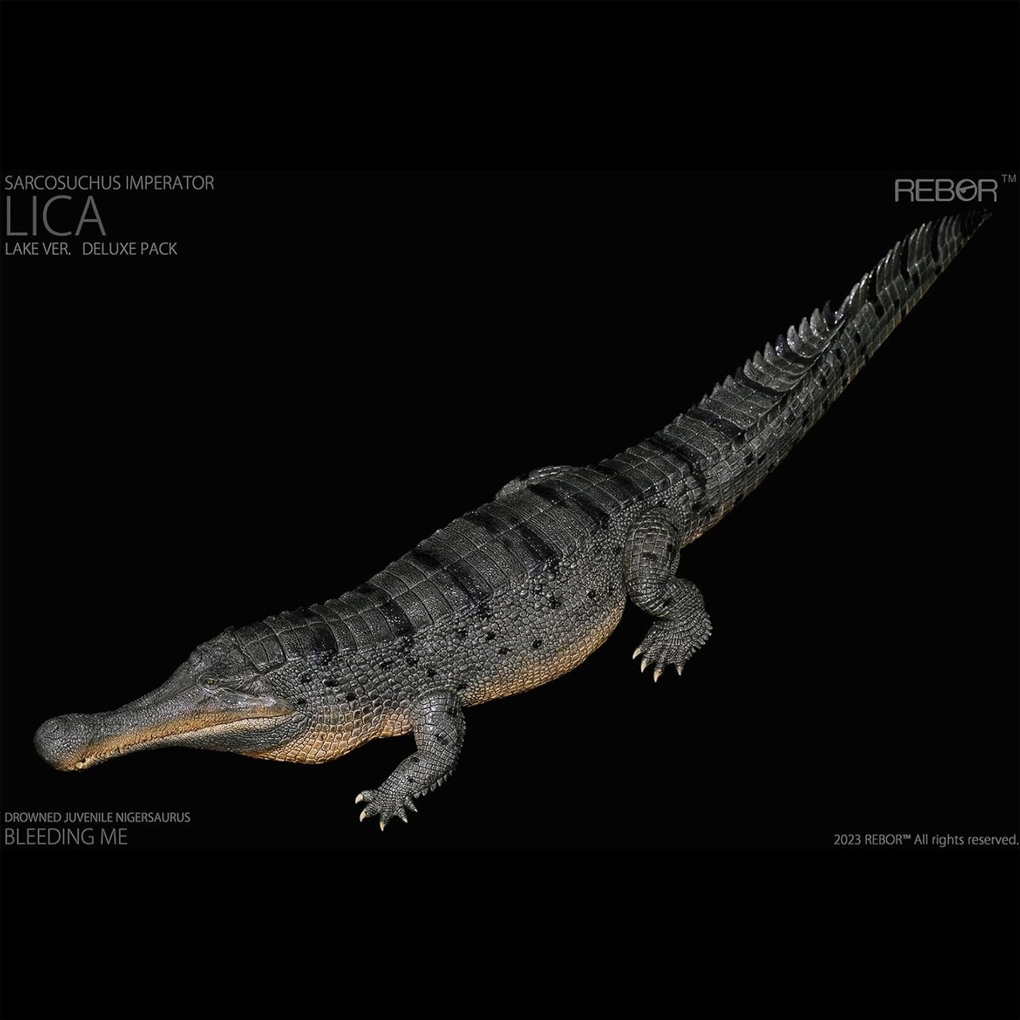 BACALYSO |REBOR 1/35 サイズ ワニ デイノスクス ニジェールサウルス 獣脚類 恐竜 動物 フィギュア 45cm級 2点セット 大口 恐ろしい 模型 新配色 情景 セット プラモデル 大人 おもちゃ オブジェ 置物 プレゼント 完成品 (二点セット)