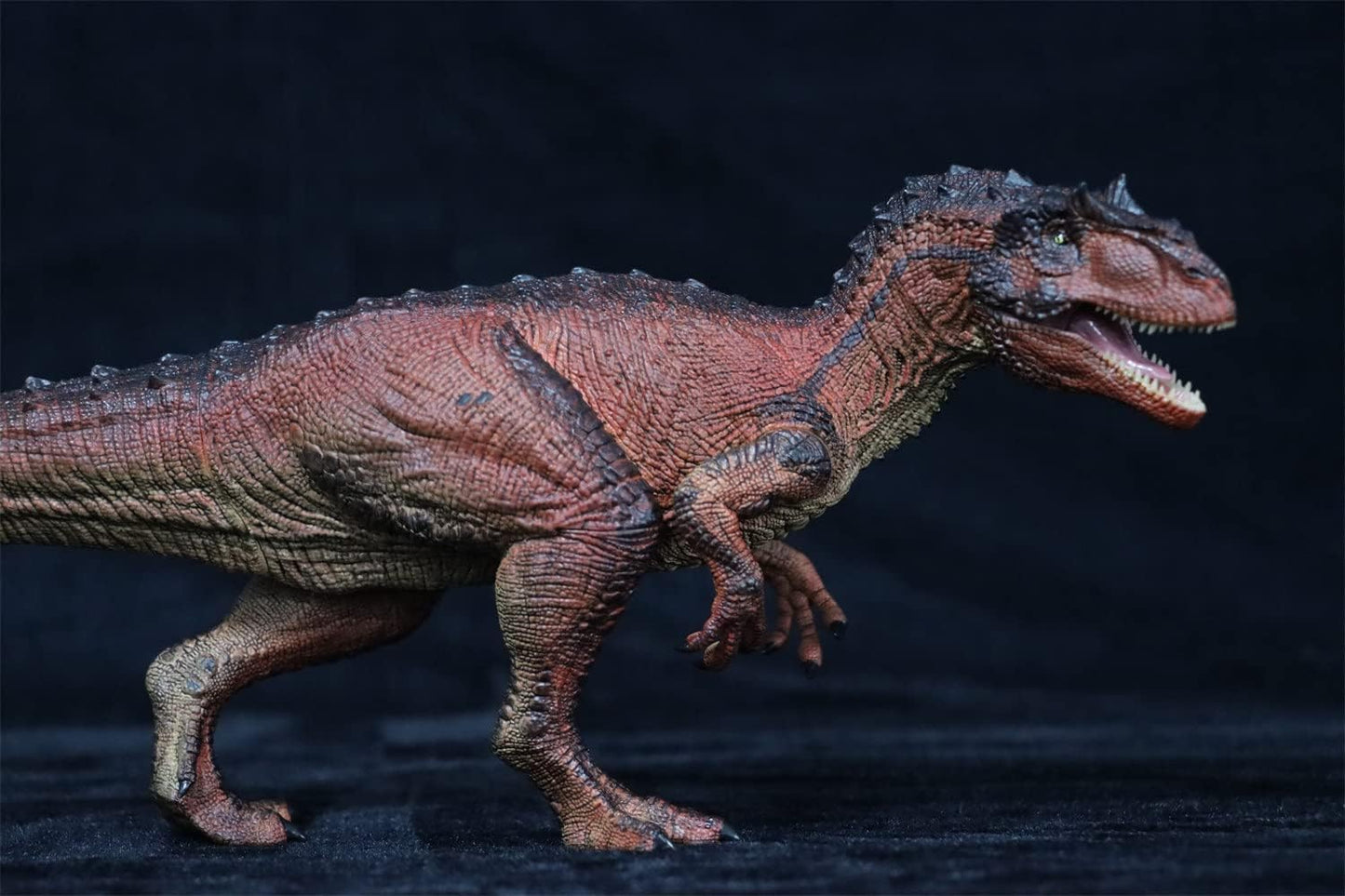 Rebor 1/35サイズ サウロファガナクス 異竜 肉食獣脚類 アロサウルス科 恐竜 フィギュア プラモデル おもちゃ 模型 リアル PVC プレゼント プレミアム 41.5cm級 オリジナル 塗装済 完成品 (火山洞窟)