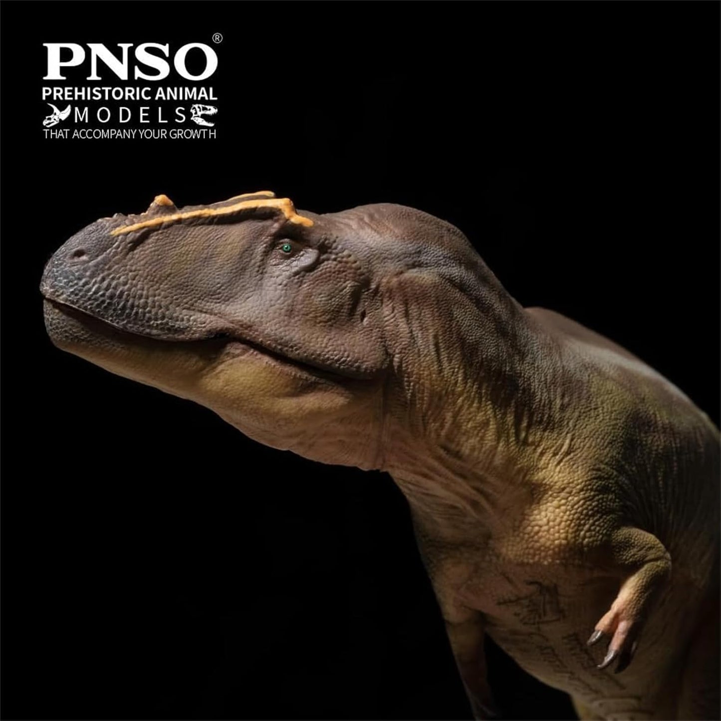 PNSO 成長シリーズ 95 タメリラプトル フィギュア 後期白亜紀 カルカロドントサウルス科 獣脚類 24cm級 恐竜 PVC おもちゃ 模型 恐竜好き