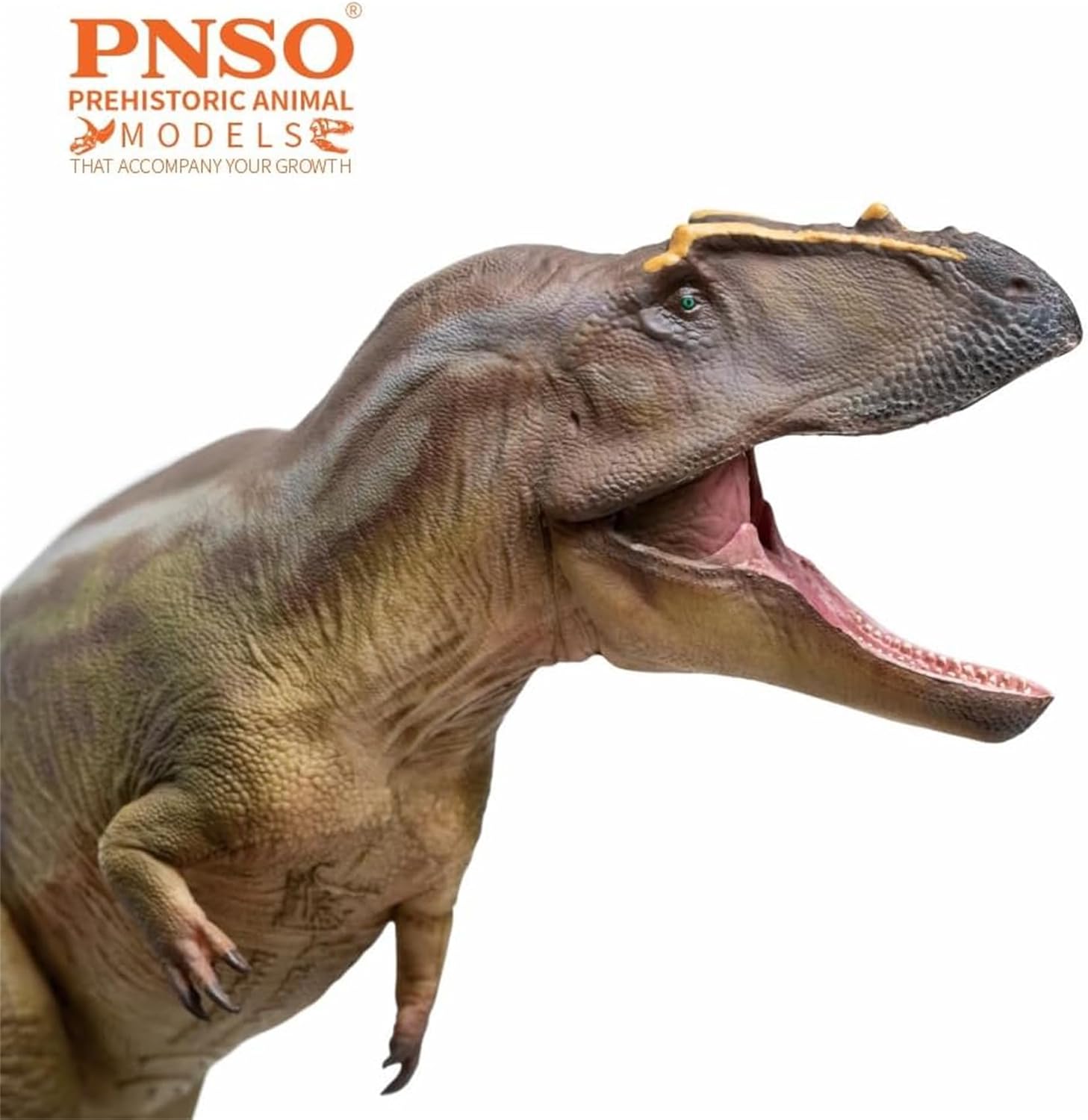 PNSO 成長シリーズ 95 タメリラプトル フィギュア 後期白亜紀 カルカロドントサウルス科 獣脚類 24cm級 恐竜 PVC おもちゃ 模型 恐竜好き