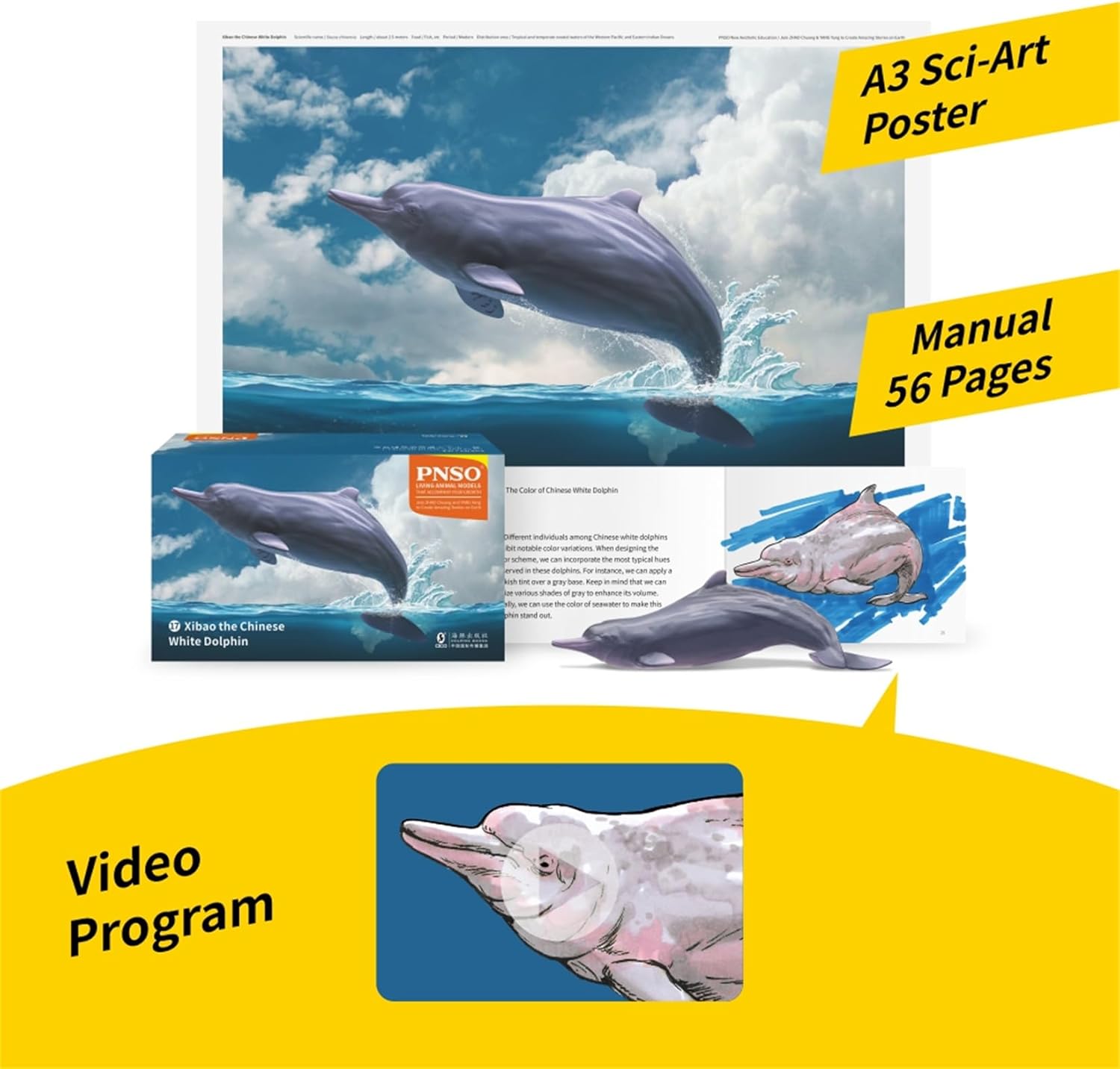 PNSO シナウスイロイルカ フィギュア 19CM級 科学 海洋動物 生物 リアル 大人 フィギュア PVC モデル プラモデル 模型 完成品 かわいい おもちゃ