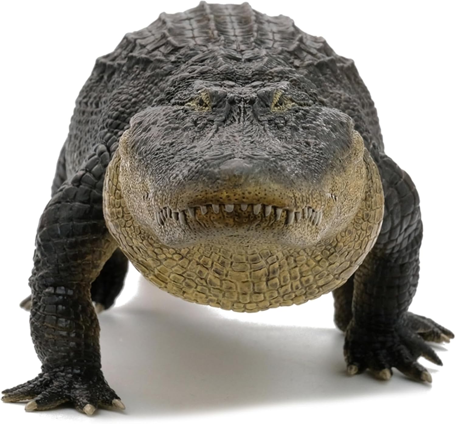 BACALYSO | REBOR 1/6 サイズ アメリカアリゲーター 動物 フィギュア ワニ アリゲーター属 ミシシッピワニ 62cm級 大口 恐ろしい 模型 情景 セット プラモデル 大人 おもちゃ オブジェ 置物 プレゼント 完成品 (ブラック)