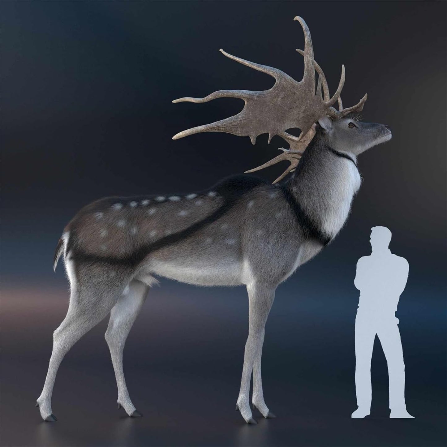 BACALYSO | ALEX STUDIO ギガンテウスオオツノジカ フィギュア ジカ 古生物 史上最大のシカ 哺乳類 シカ科 メガロケロス属 樹脂 塗装済 可愛い リアル 動物 プラモデル おもちゃ 模型 置物 (ブラウン,1/20)