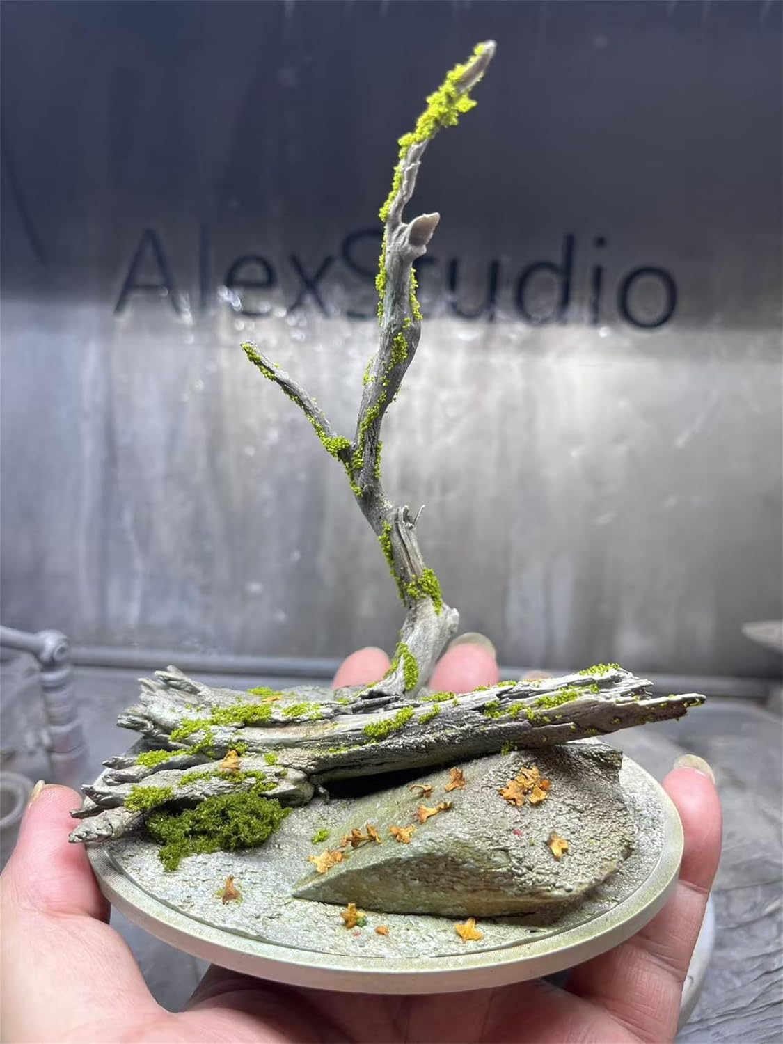 BACALYSO | ALEX STUDIO Barramundi Figure, 5.9 inches (15 cm), Grade, Alex, Fish, Large Carnivore, Animal Base, Resin, Painted, Cute, Realistic Animal, Plastic Model, Toy, Figurine