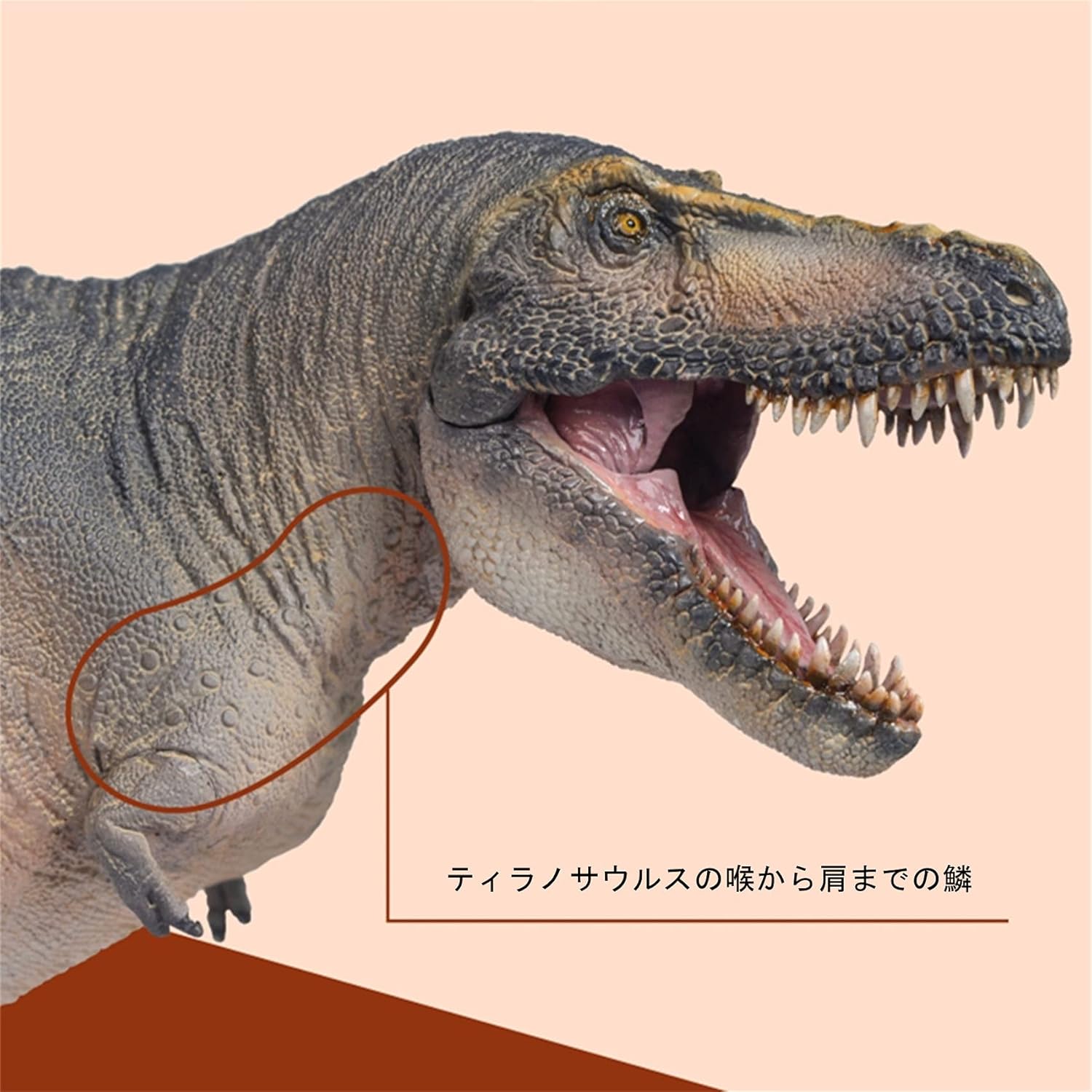 PNSO 成長シリーズ タルボサウルス 恐れさせるトカゲ ティラノサウルス科 肉食 恐竜 動物 リアル フィギュア PVC おもちゃ 科学 芸術 模型 恐竜好き 誕生日 プレゼント塗装済 31cm級