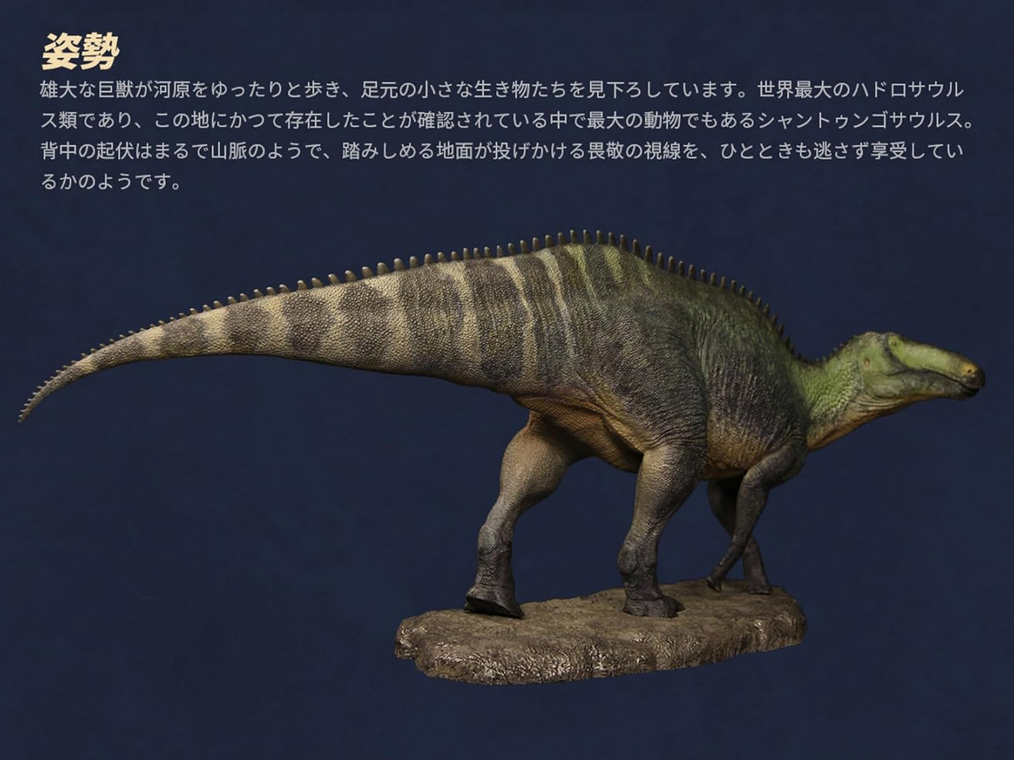 寰宇大千 シャントゥンゴサウルス フィギュア ハドロサウルス科 白亜紀 恐竜 38cmリアル PVC プラモデル 大人のおもちゃ 模型 プレゼント プレミアム スタチュー 塗装済 完成品 [並行輸入品]