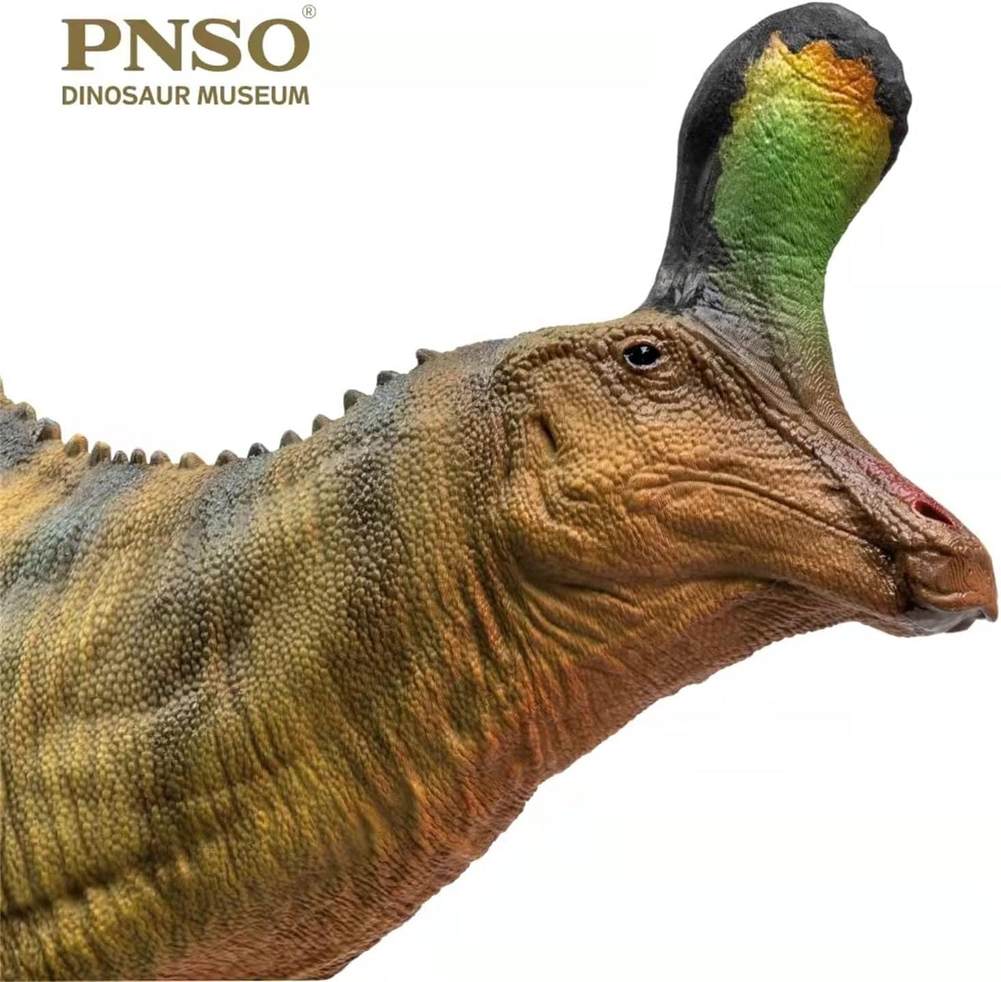 PNSO 恐竜博物館 1/35 サイズ チンタオサウルス 恐竜 フィギュア プラモデル おもちゃ 模型 PVC 21.8cm級