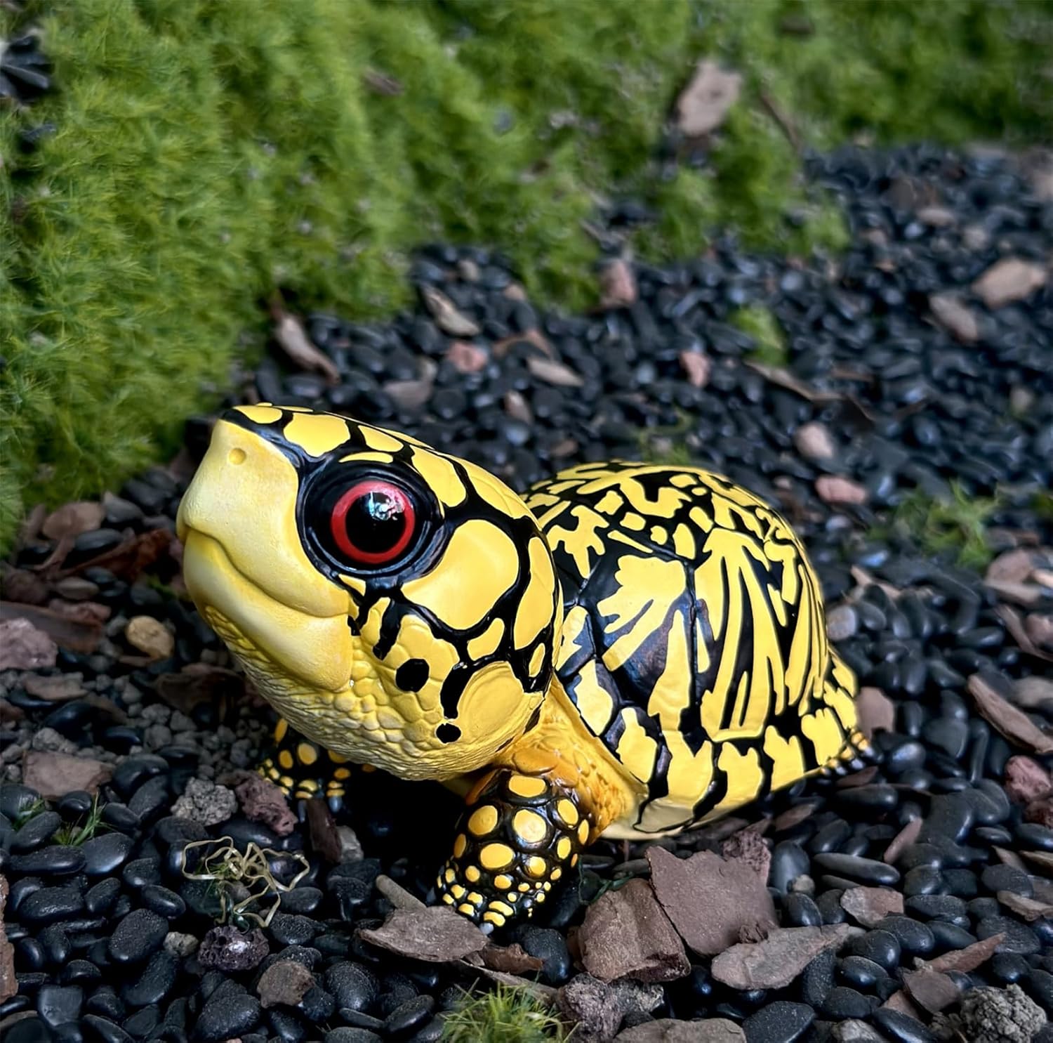 動物惑星 ハコガメ フィギュア カメ 亀 10.5CM級 カメ目 ニシキハコガメ ユカタンハコガメ フロリダハコガメ爬虫類 情景セット 樹脂 可愛い おもちゃ リアル 動物好き オリジナル 模型 (7点セット)