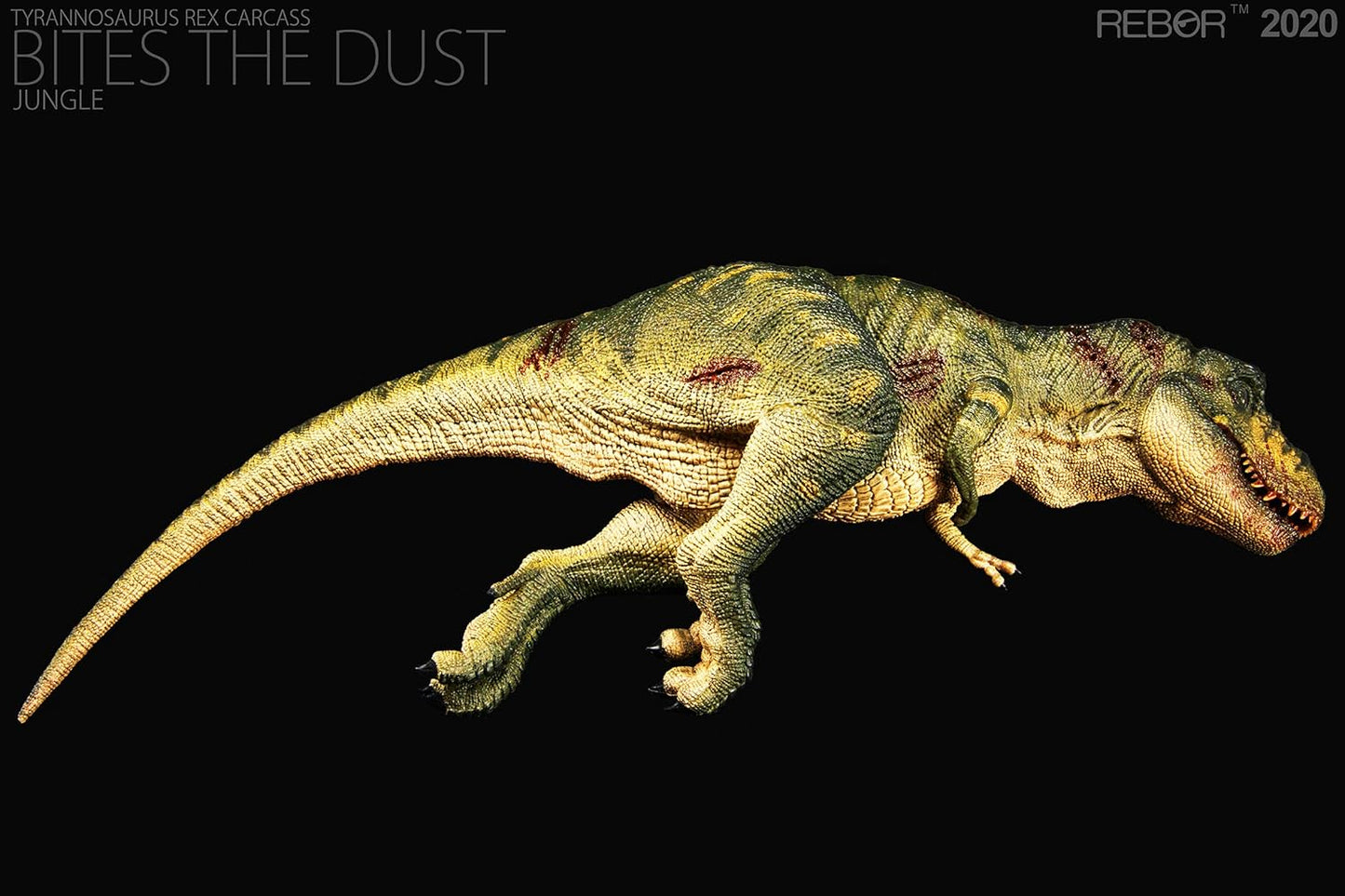 Rebor 1/35 サイズ ティラノサウルス 死体 死骸 Tレックス T-REX CARCASS 大きい 肉食 恐竜 リアル フィギュア PVC プラモデル おもちゃ 模型 プレゼント プレミアム 36cm級 オリジナル 塗装済 完成品 (ジャングル+平野)