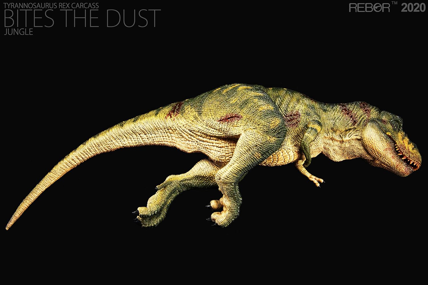 Rebor 1/35 サイズ ティラノサウルス 死体 死骸 Tレックス T-REX CARCASS 大きい 肉食 恐竜 リアル フィギュア PVC プラモデル おもちゃ 模型 プレゼント プレミアム 36cm級 オリジナル 塗装済 完成品 (ジャングル+平野)
