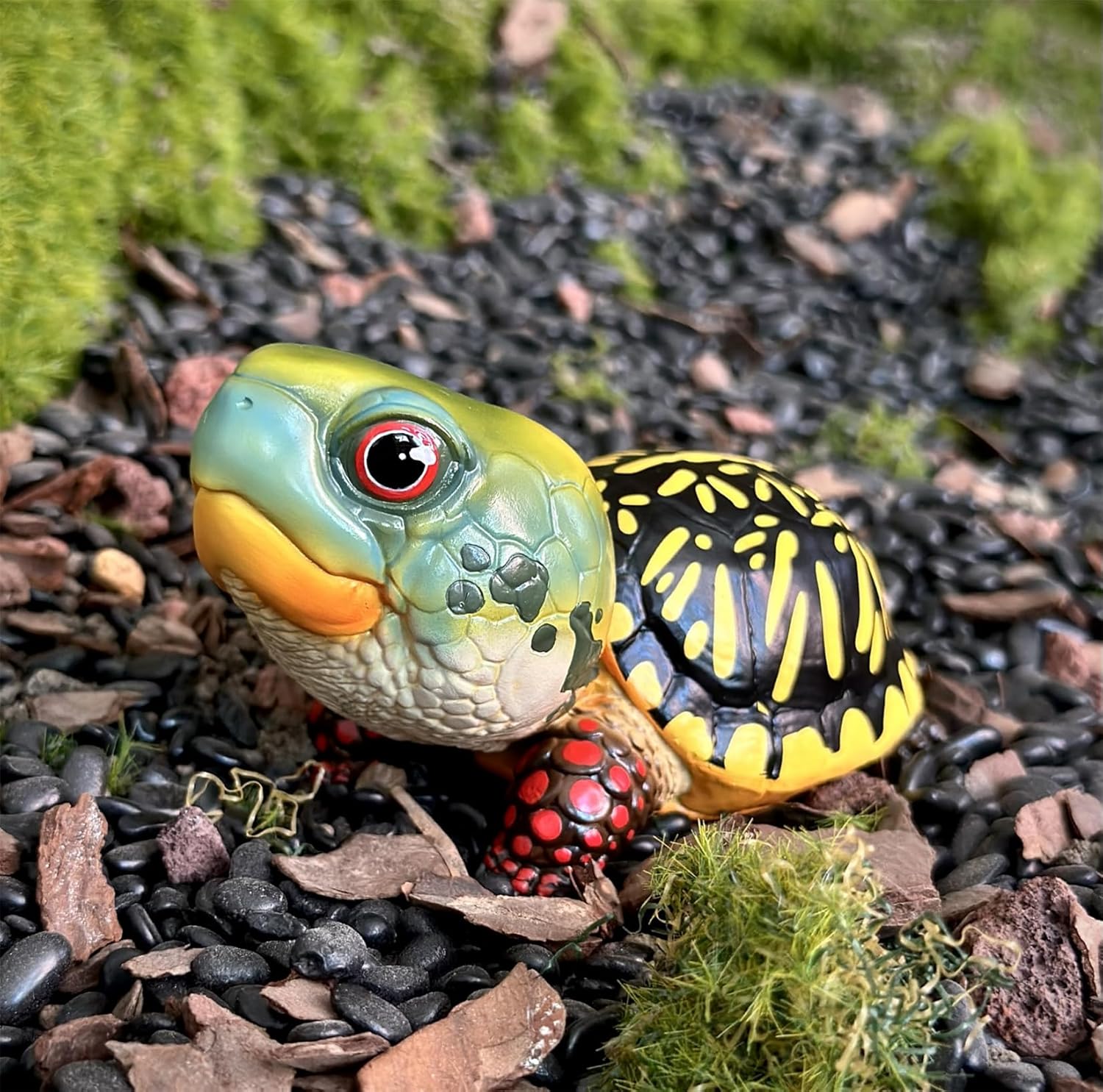 動物惑星 ハコガメ フィギュア カメ 亀 10.5CM級 カメ目 ニシキハコガメ ユカタンハコガメ フロリダハコガメ爬虫類 情景セット 樹脂 可愛い おもちゃ リアル 動物好き オリジナル 模型 (7点セット)